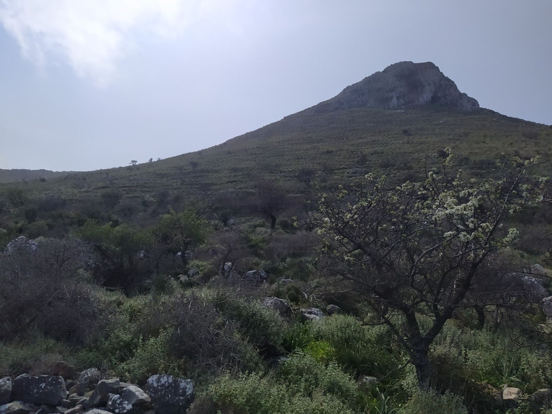 Land i Kokkino Chorio,  11554260