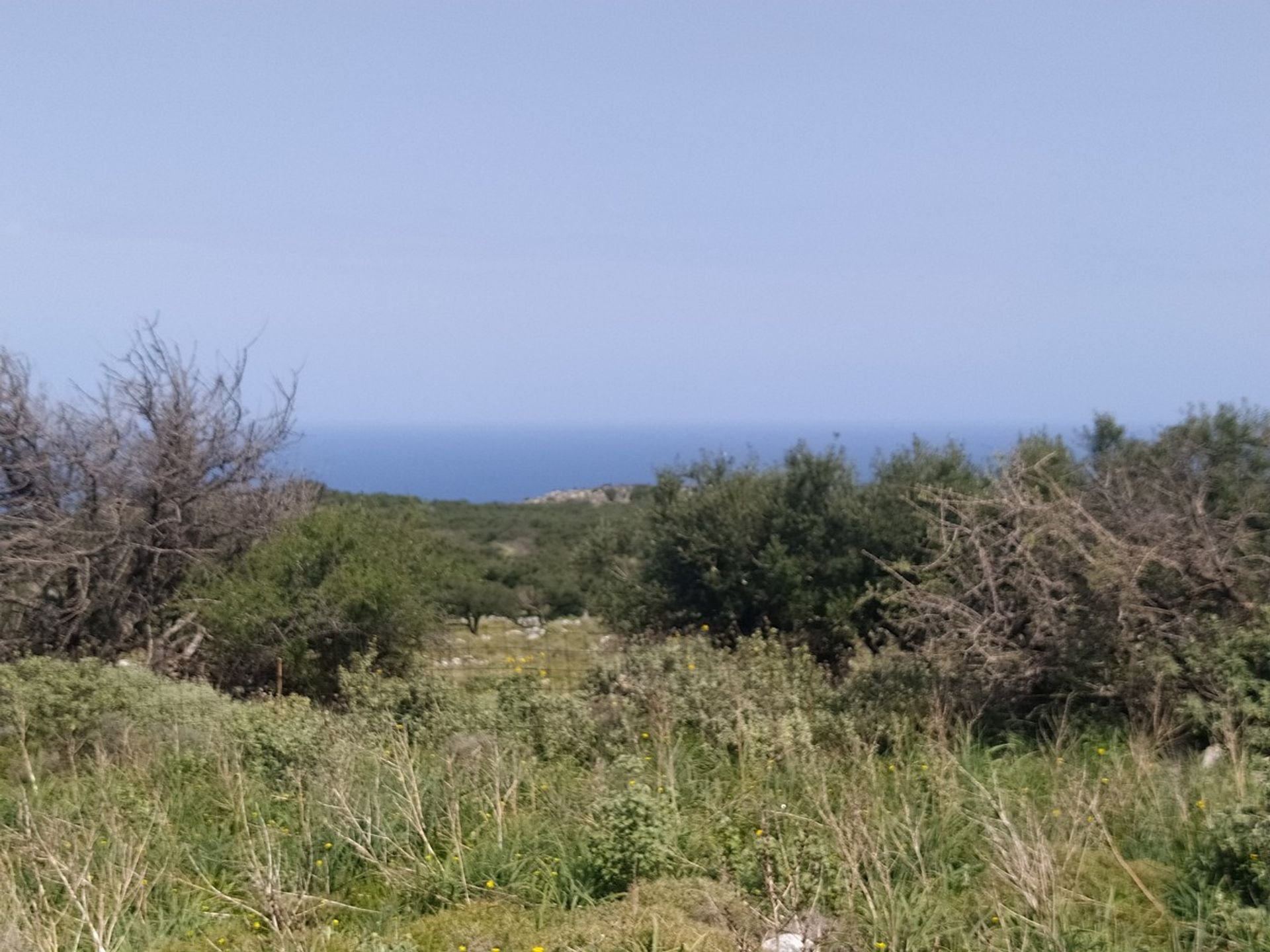 Terre dans Kokkino Chorio,  11554260