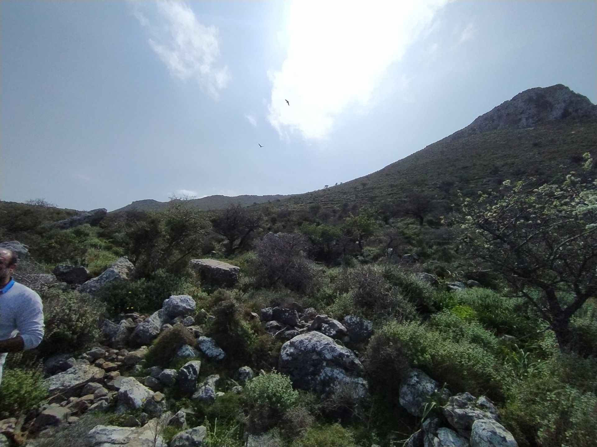 Land i Kokkino Chorio,  11554260