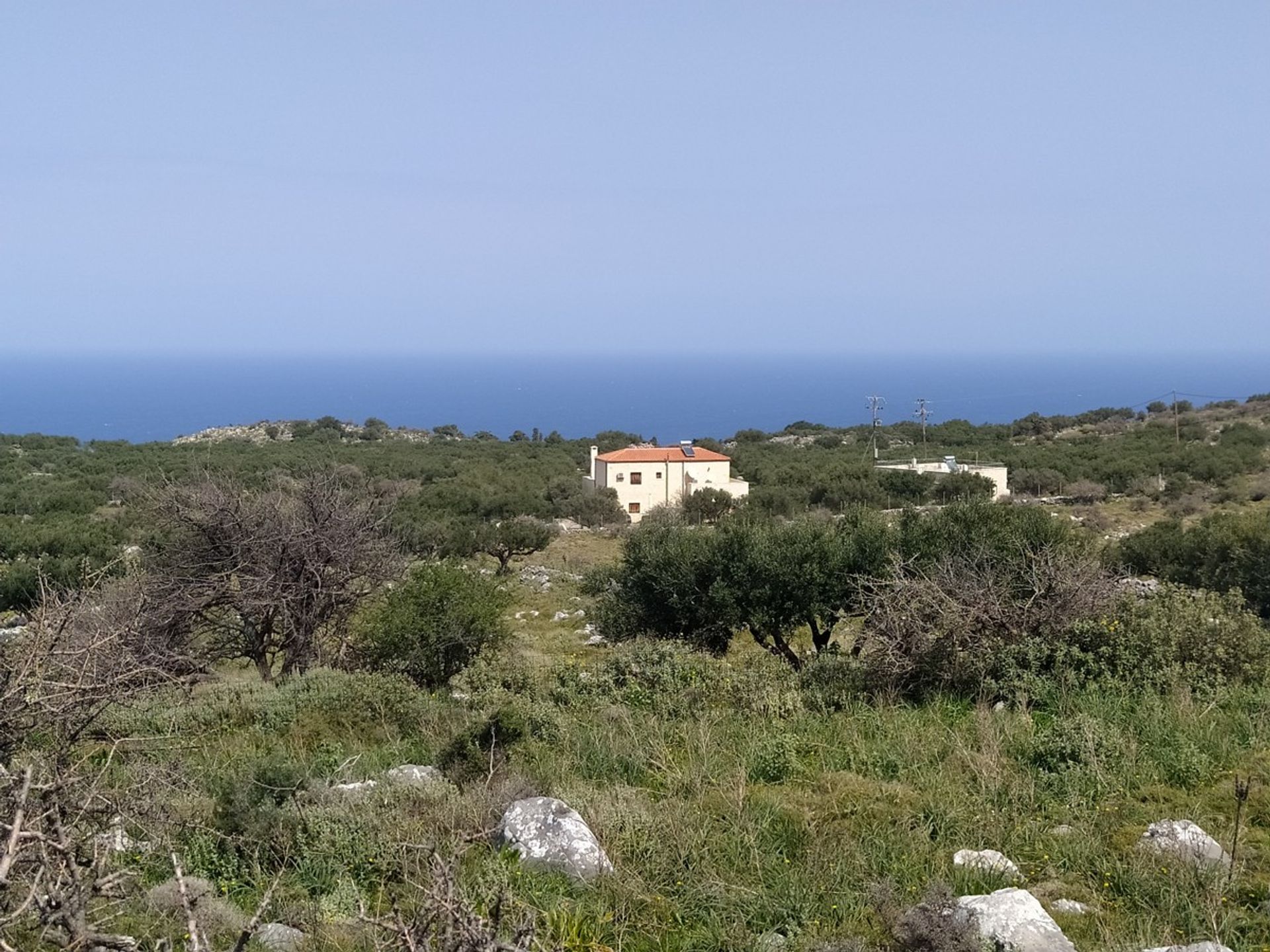 Terre dans Kokkino Chorio,  11554260