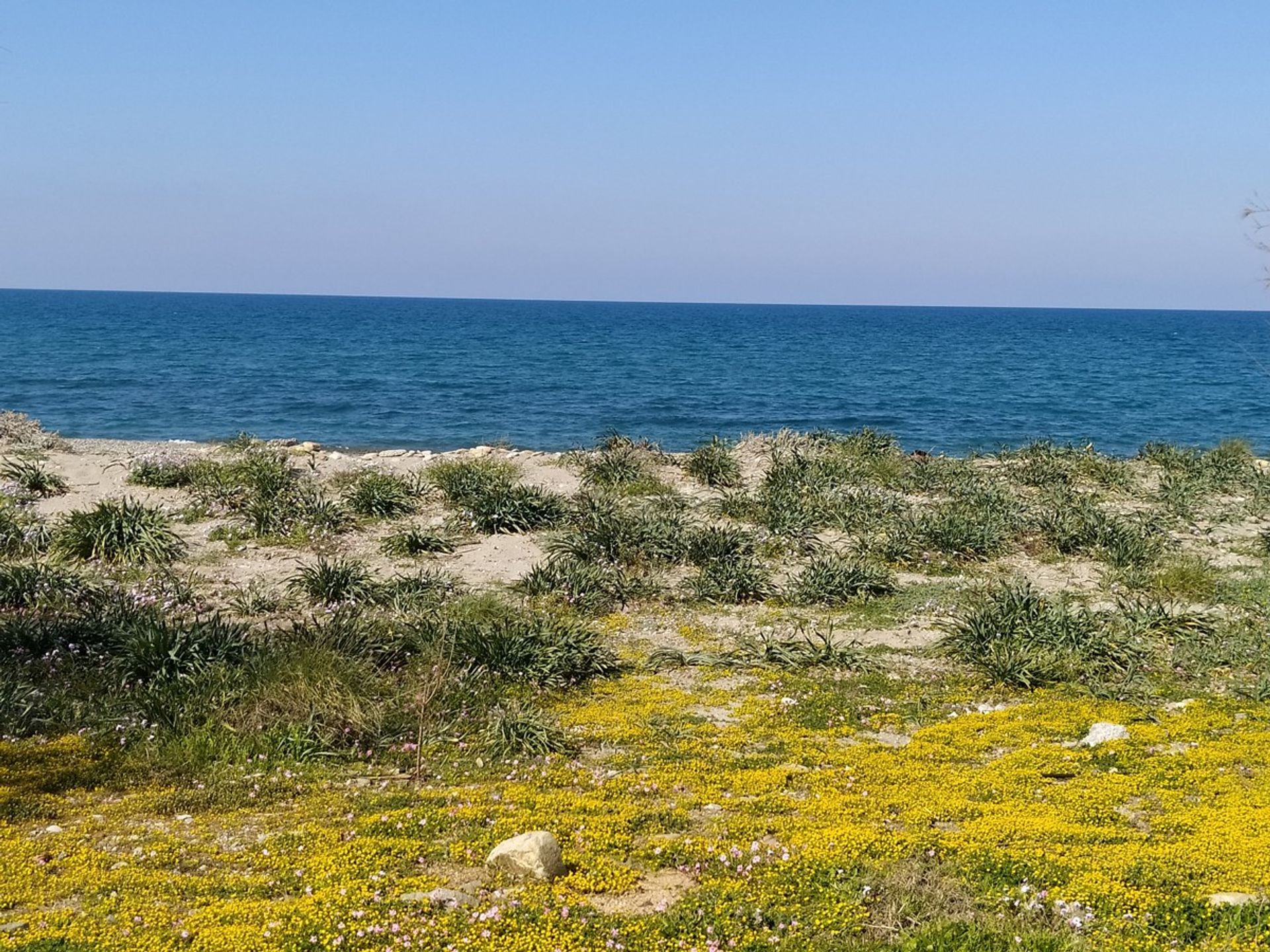 Land in Platanias, Kriti 11554270