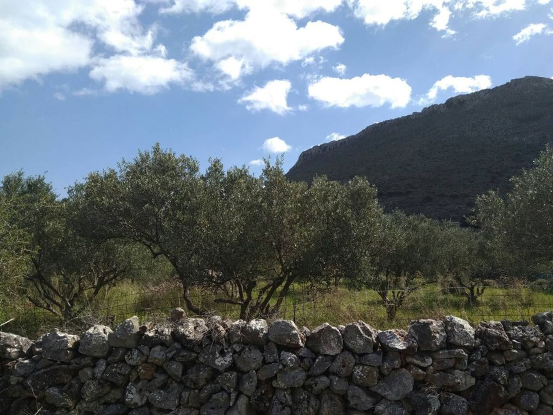 Land in Kokkino Chorio,  11554274