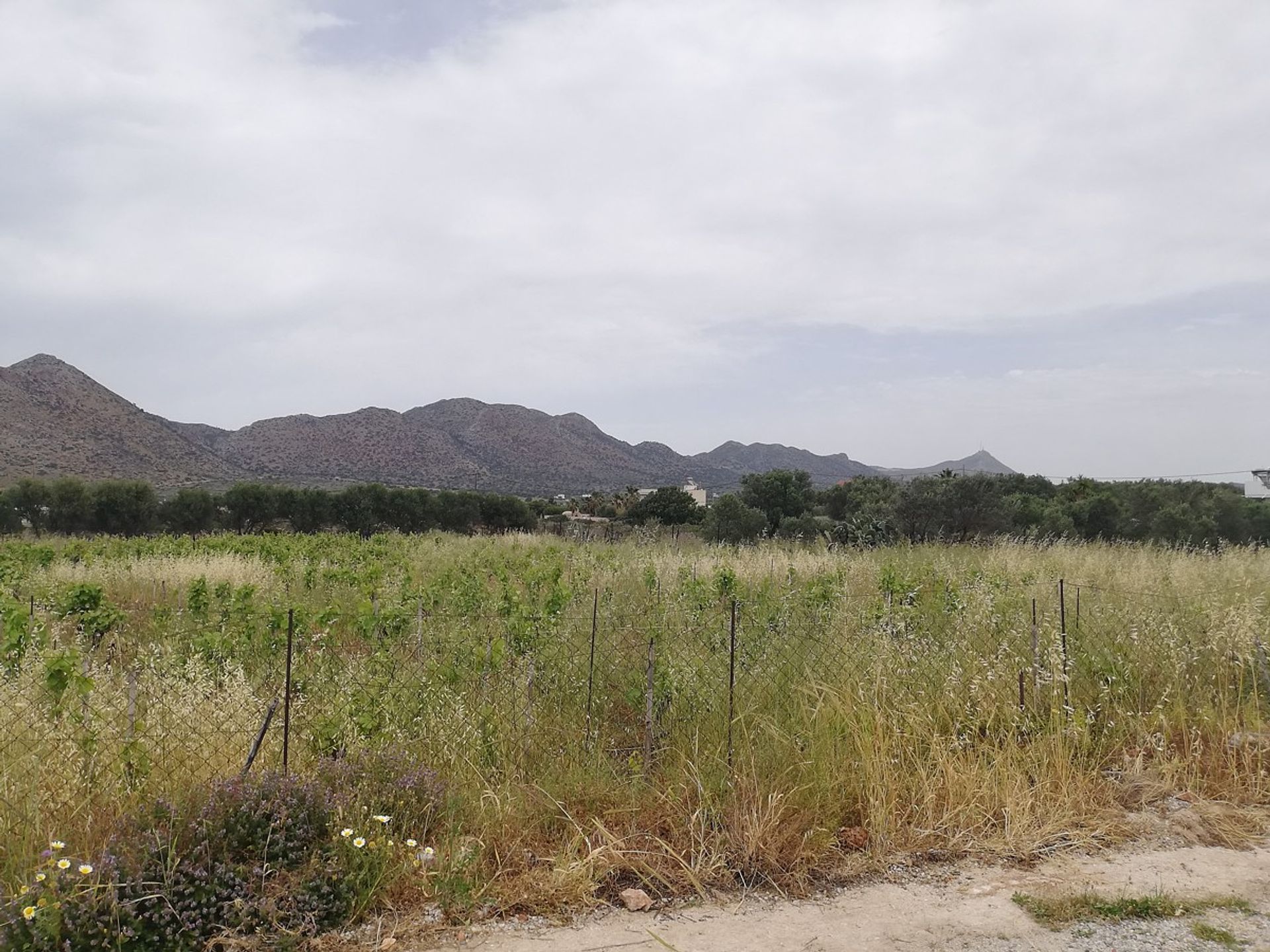 Land in Stavros,  11554280