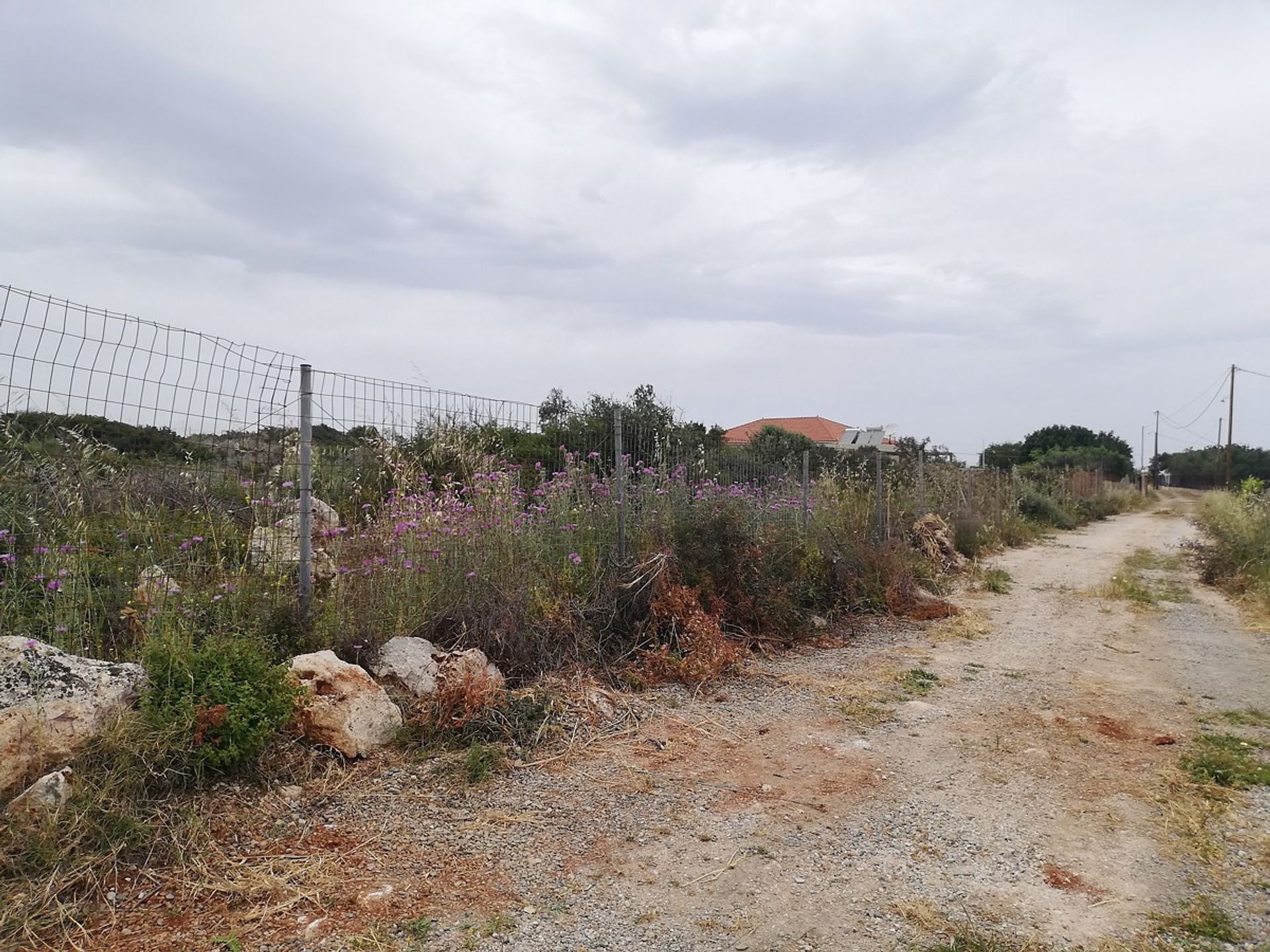 Land in Stavros,  11554280