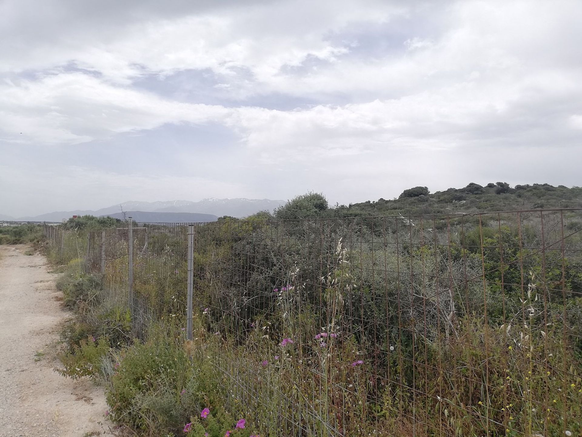 Land in Stavros,  11554280