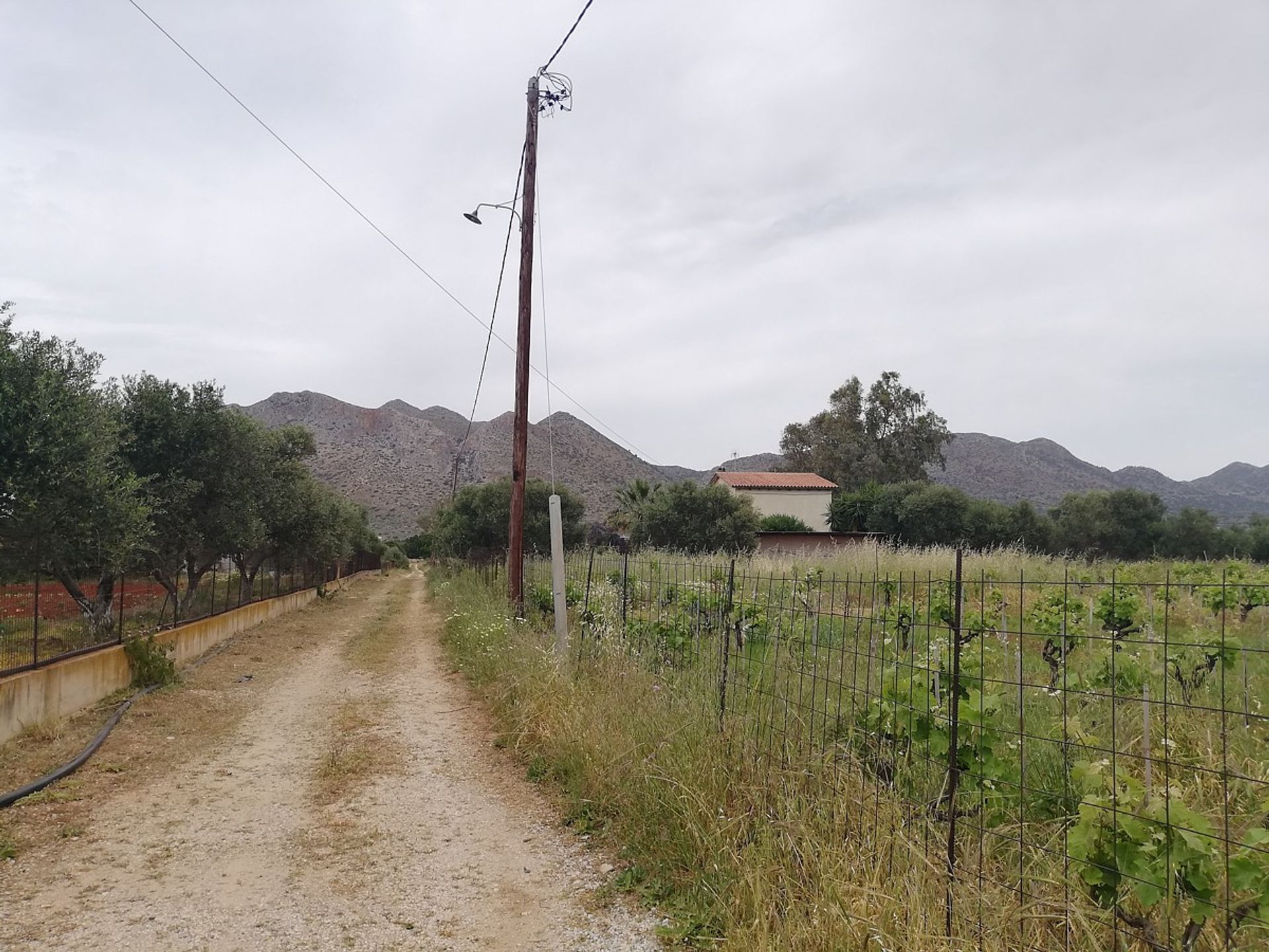 Land in Stavros,  11554280