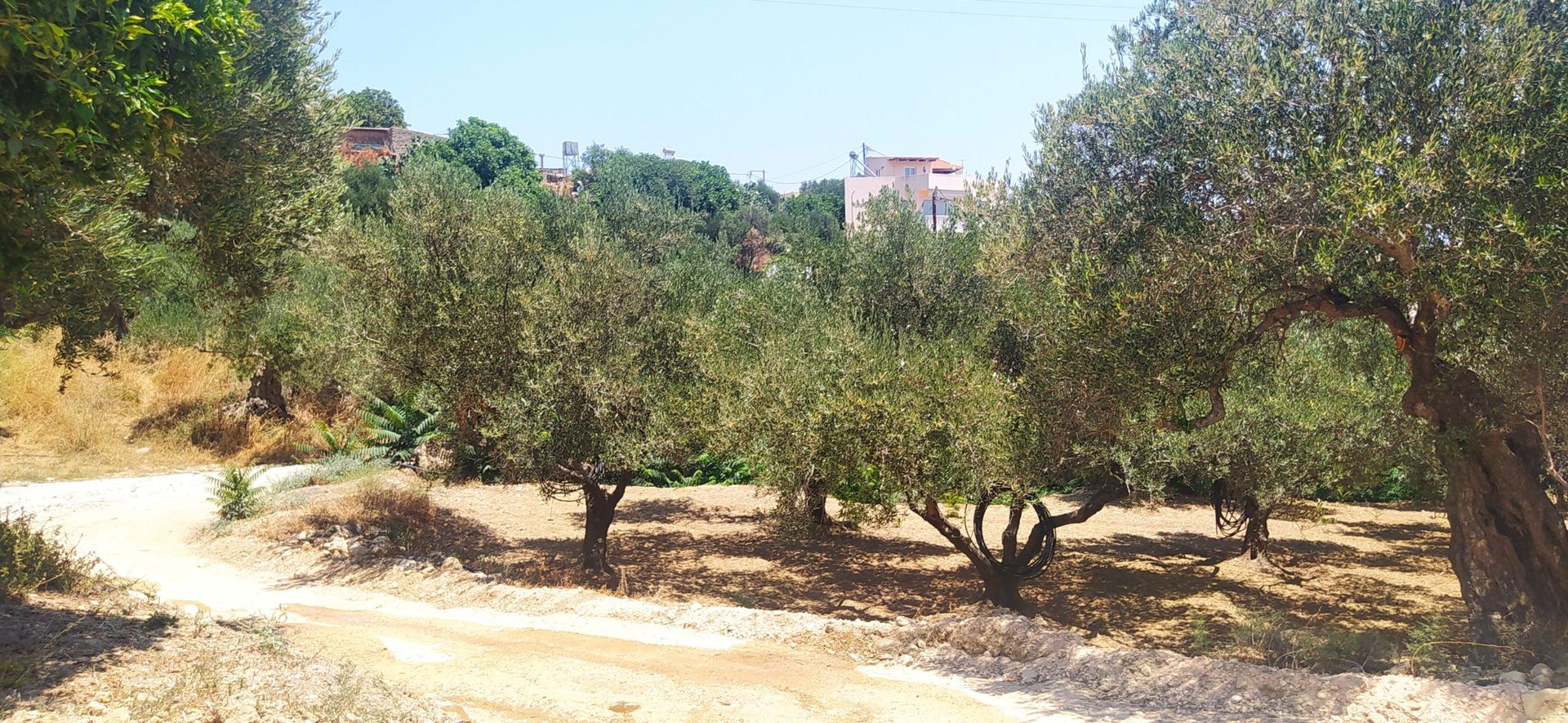 Land i Rapaniana, Kriti 11554292