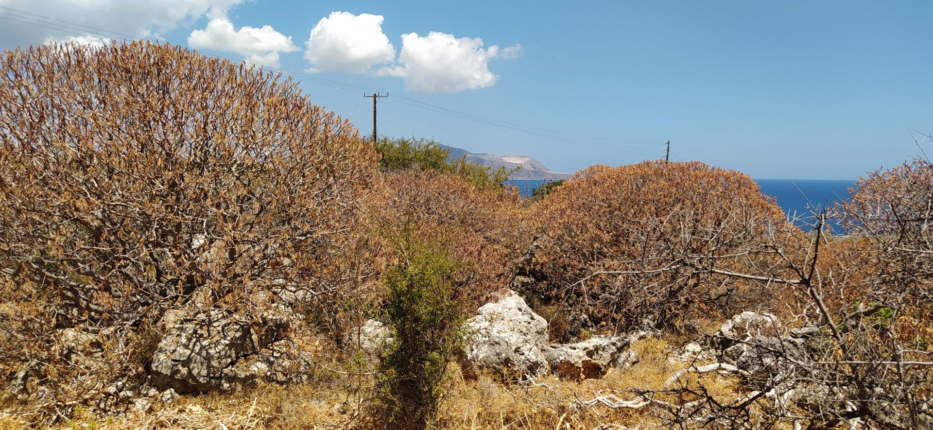 Land in Kokkino Chorio,  11554301