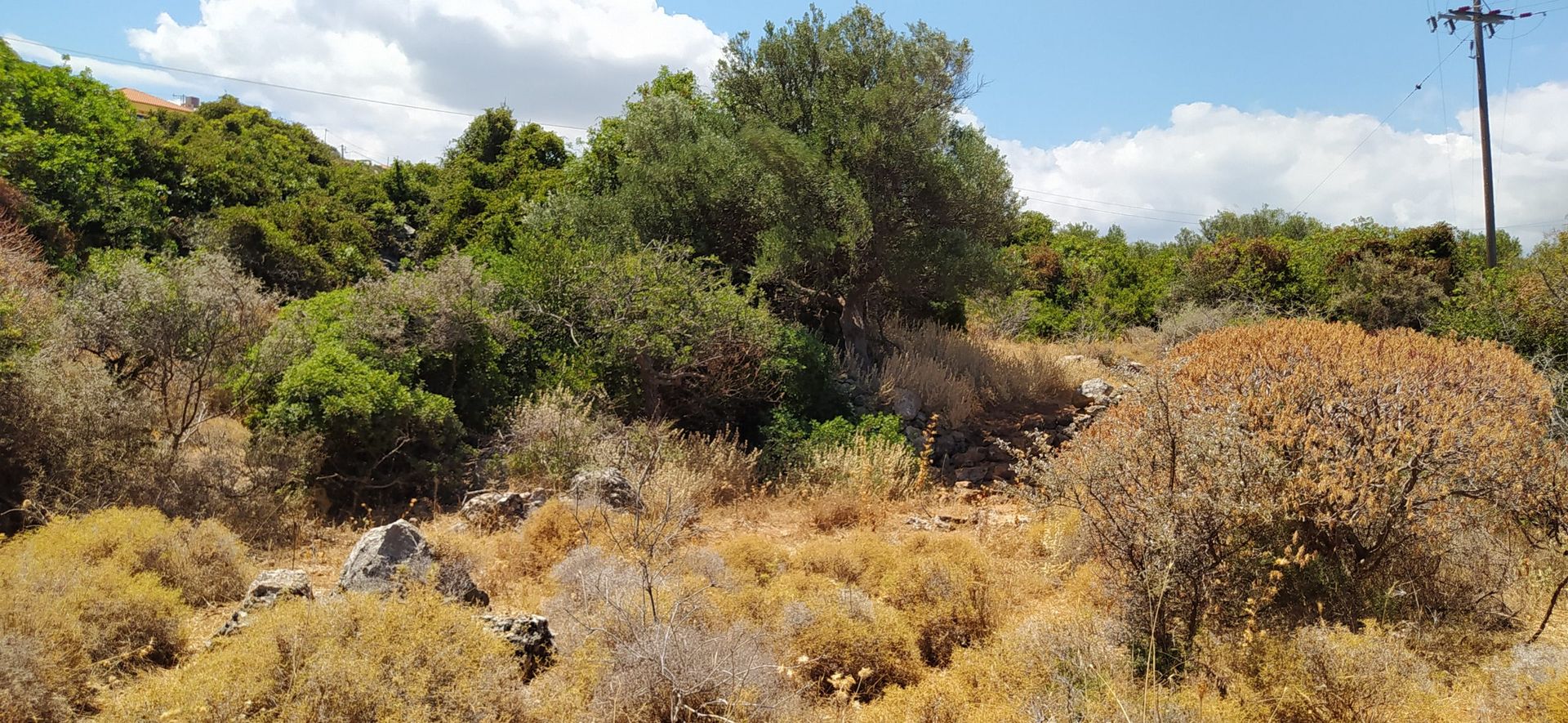 Land in Kokkino Chorio,  11554301