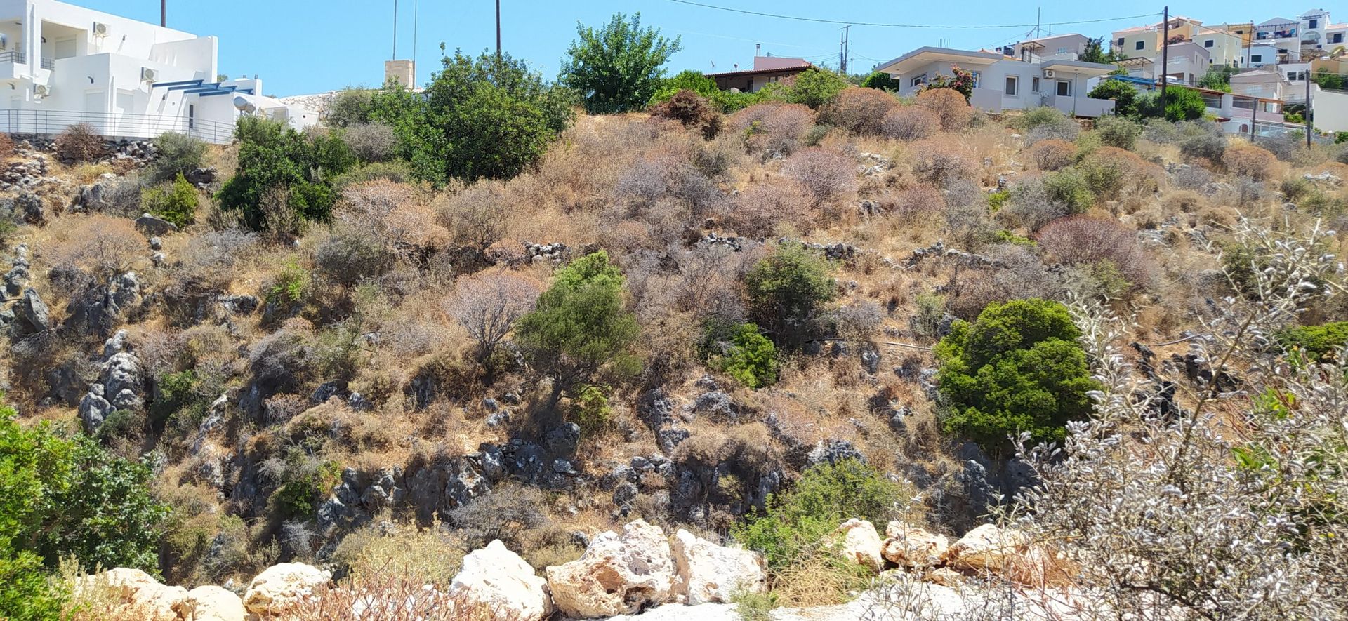 Land in Kokkino Chorio,  11554301