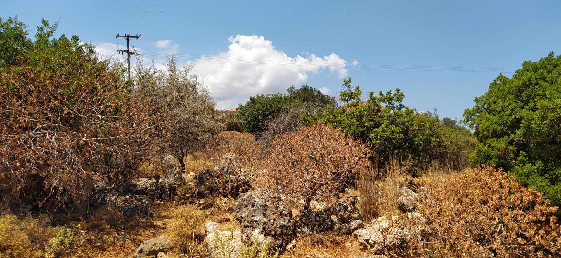 Land in Kokkino Chorio,  11554301