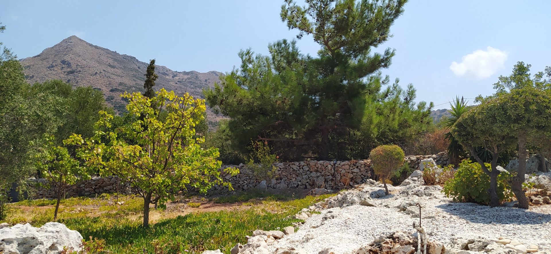 Βιομηχανικός σε Plaka,  11554315