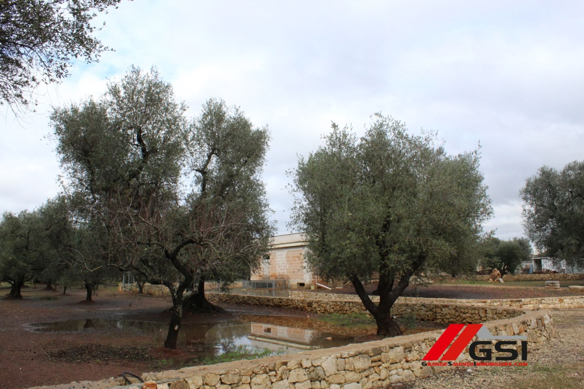 房子 在 San Michele Salentino, Apulia 11554331