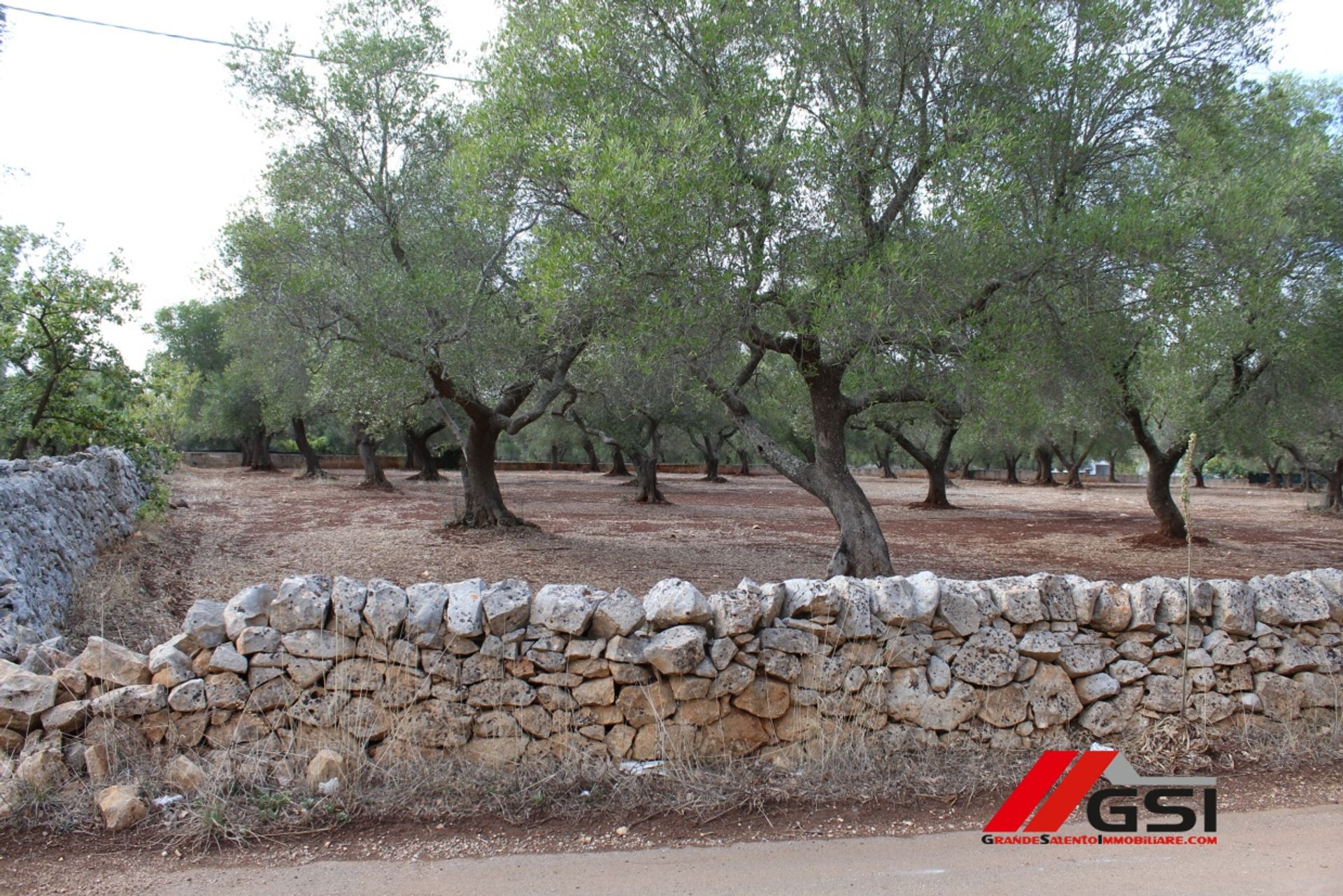 Tierra en San Michele Salentino, Apulia 11554340