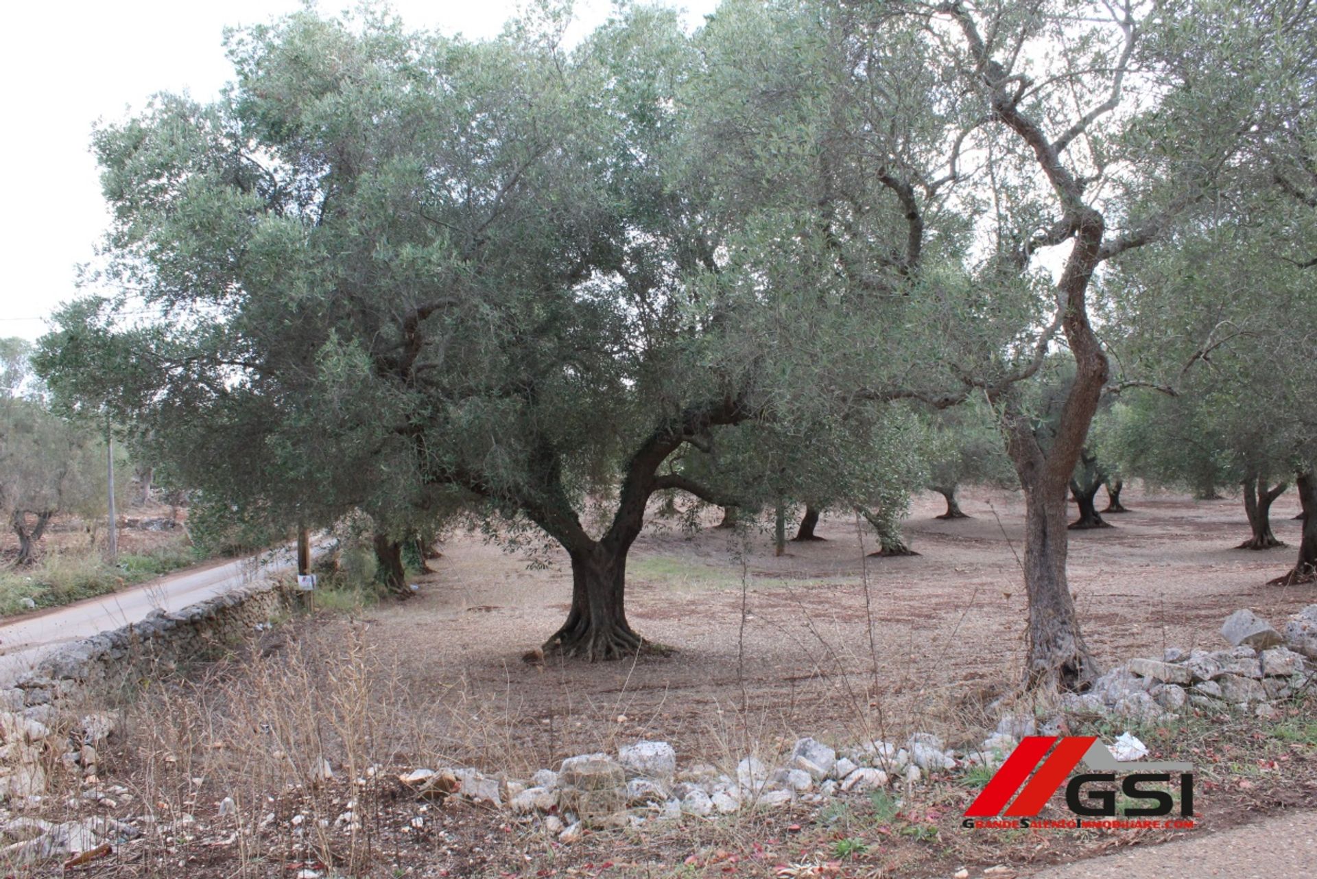 土地 在 San Michele Salentino, Apulia 11554340