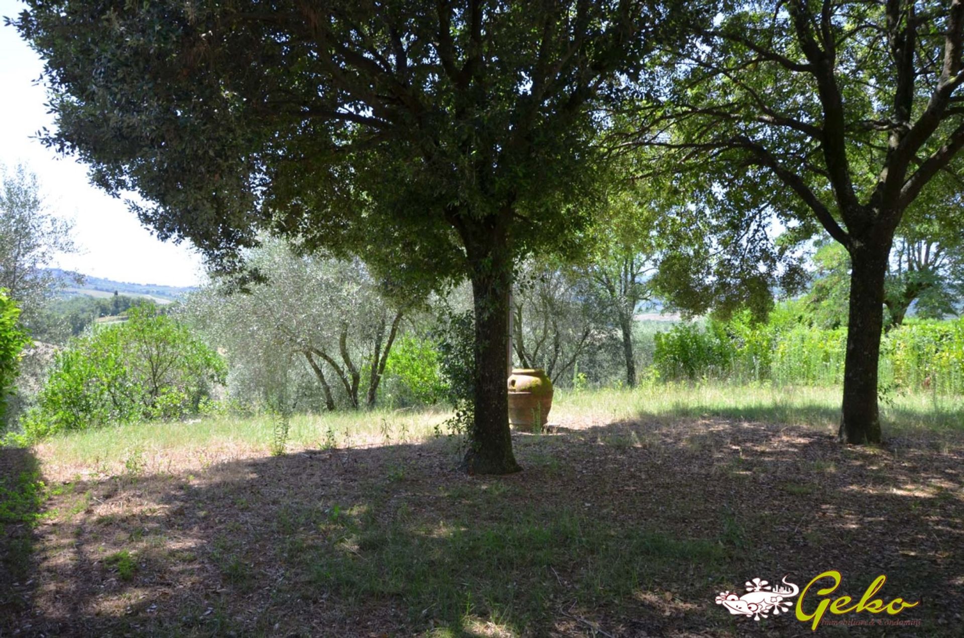 房子 在 San Gimignano, Tuscany 11554418