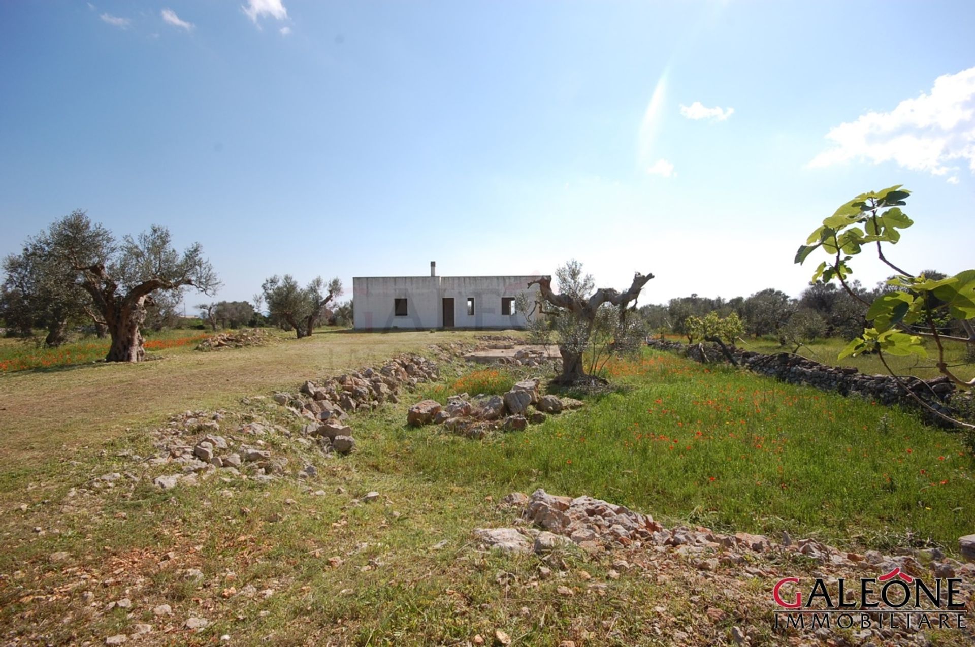 Haus im , Apulia 11554536