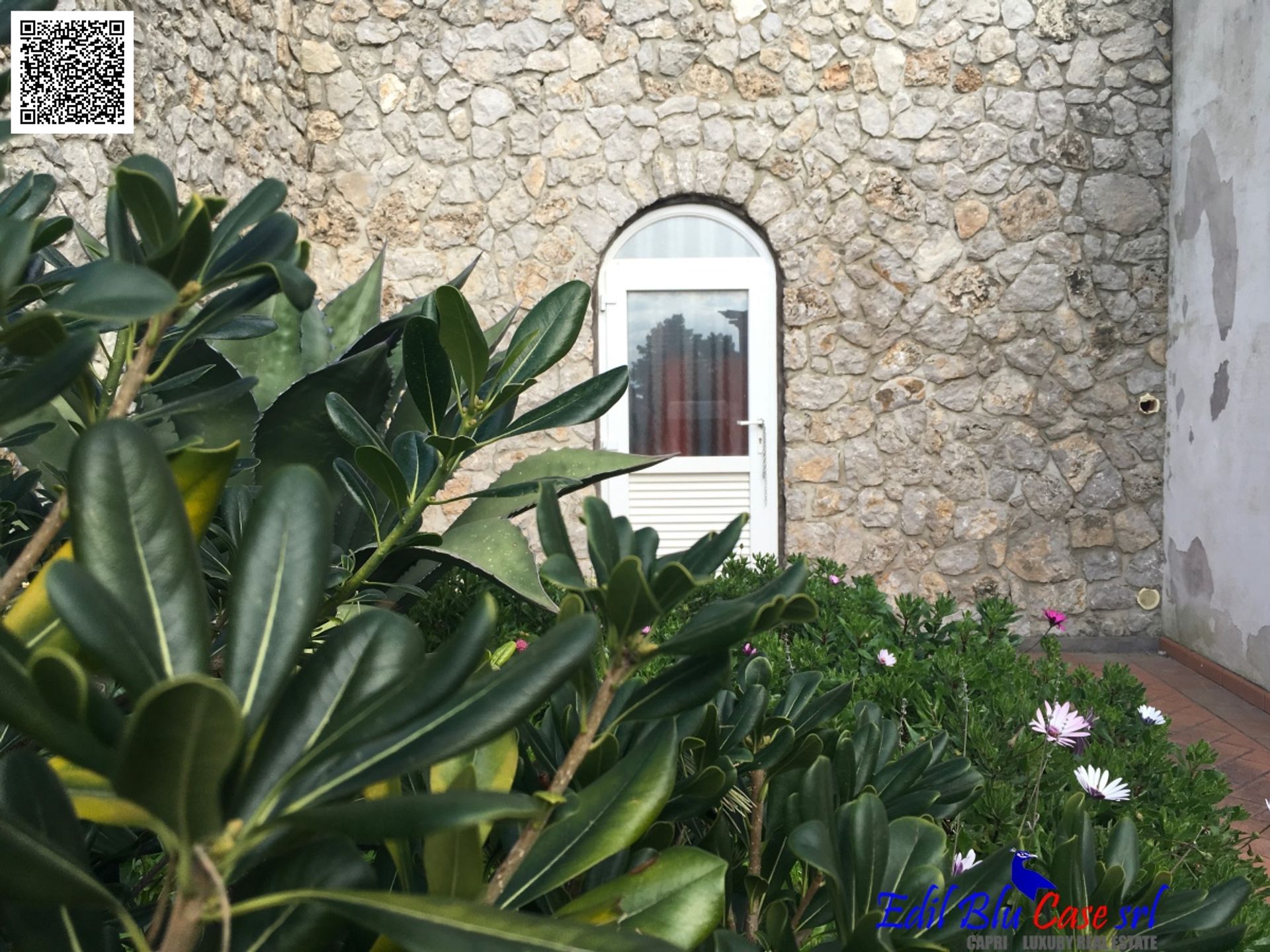 House in , Campania 11554600