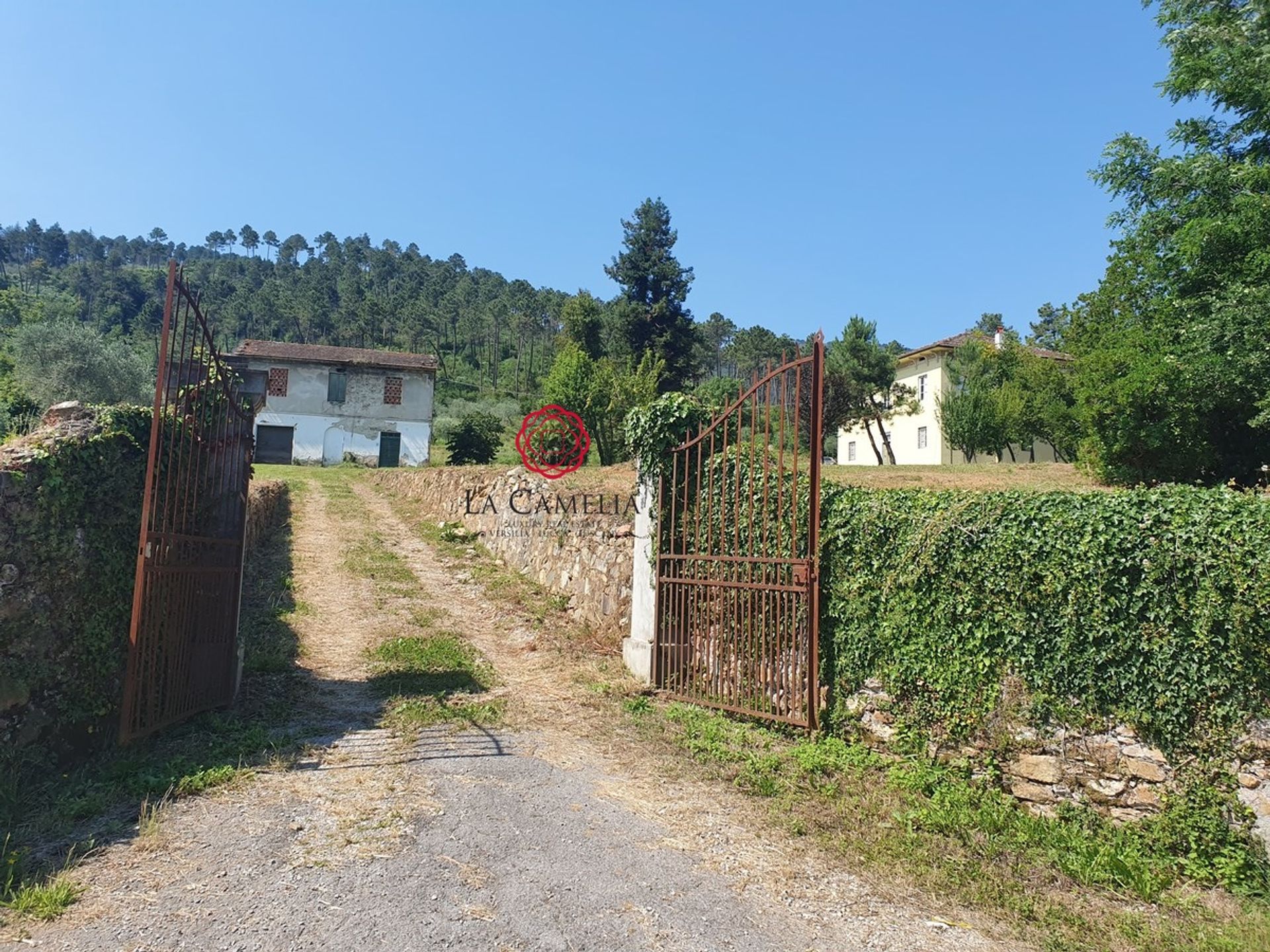 casa en Capannori, Tuscany 11554768