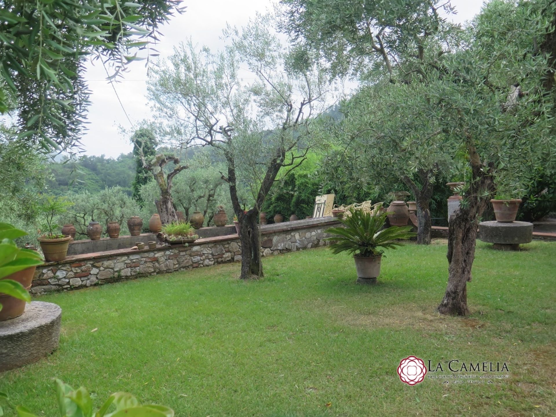 Huis in Lucca, Tuscany 11554878