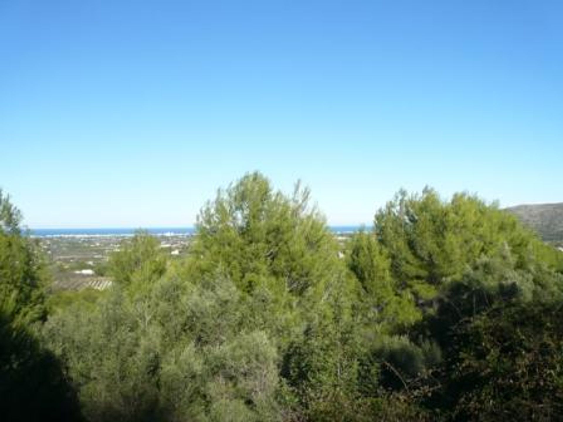 Land in La Jara, Valencia 11597102