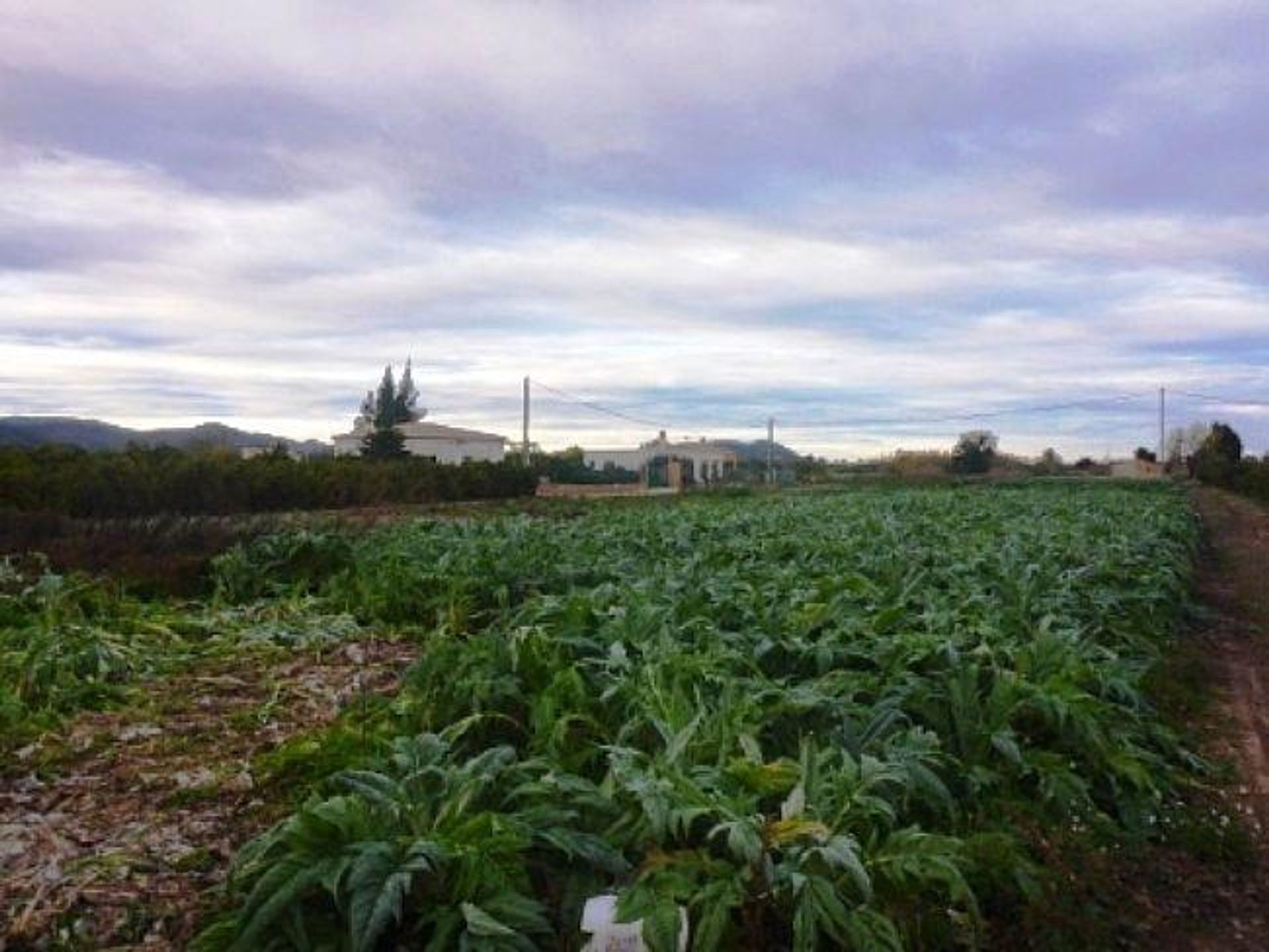 Land in Pego, Valencian Community 11597192