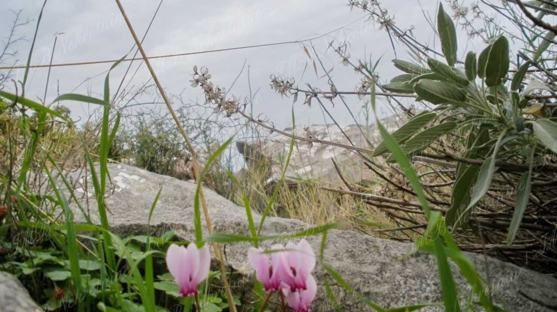 Eigentumswohnung im Dubrovnik, Dubrovnik-Neretva County 11597289