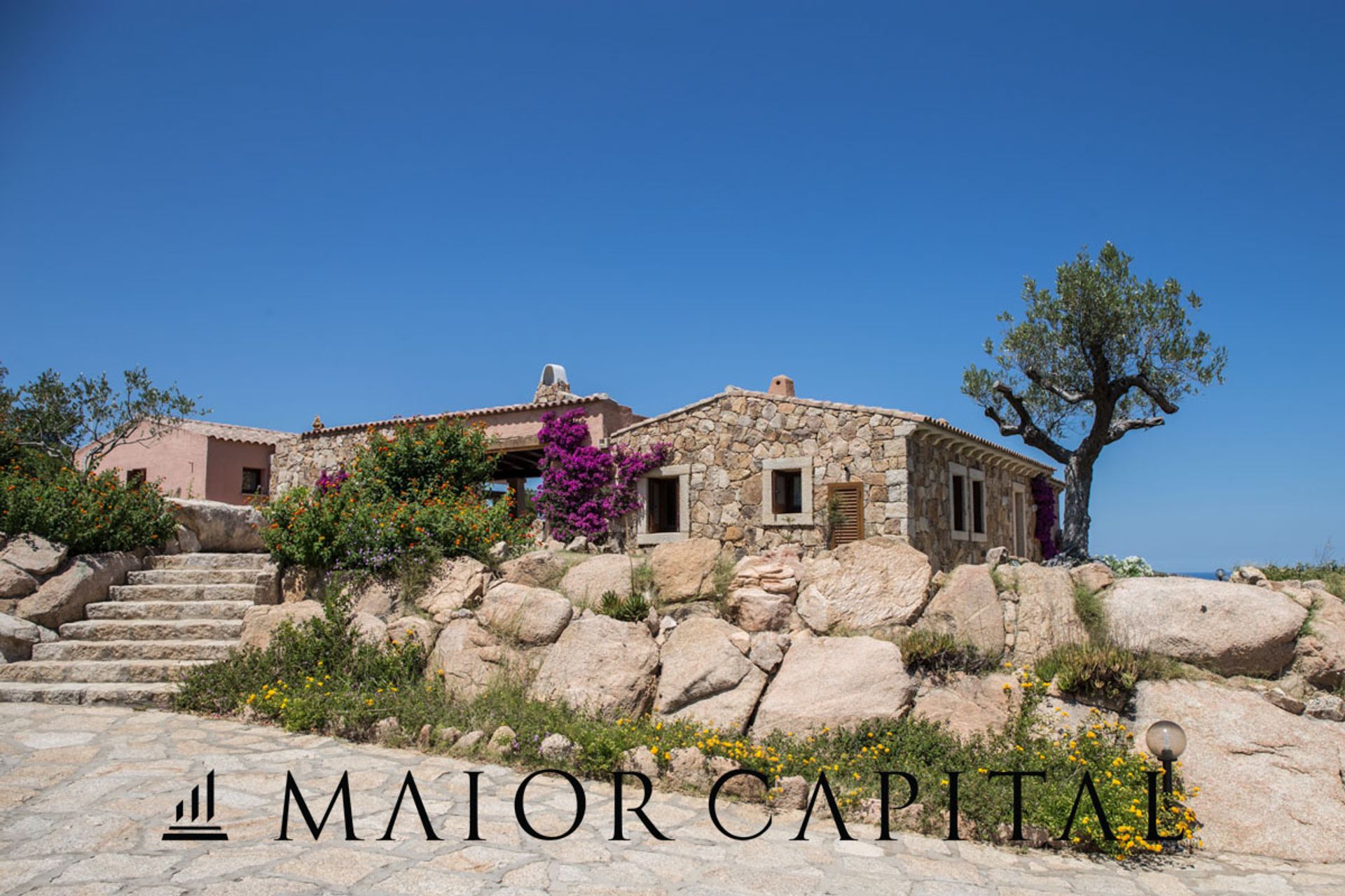 House in Arzachena, Sardegna 11598719