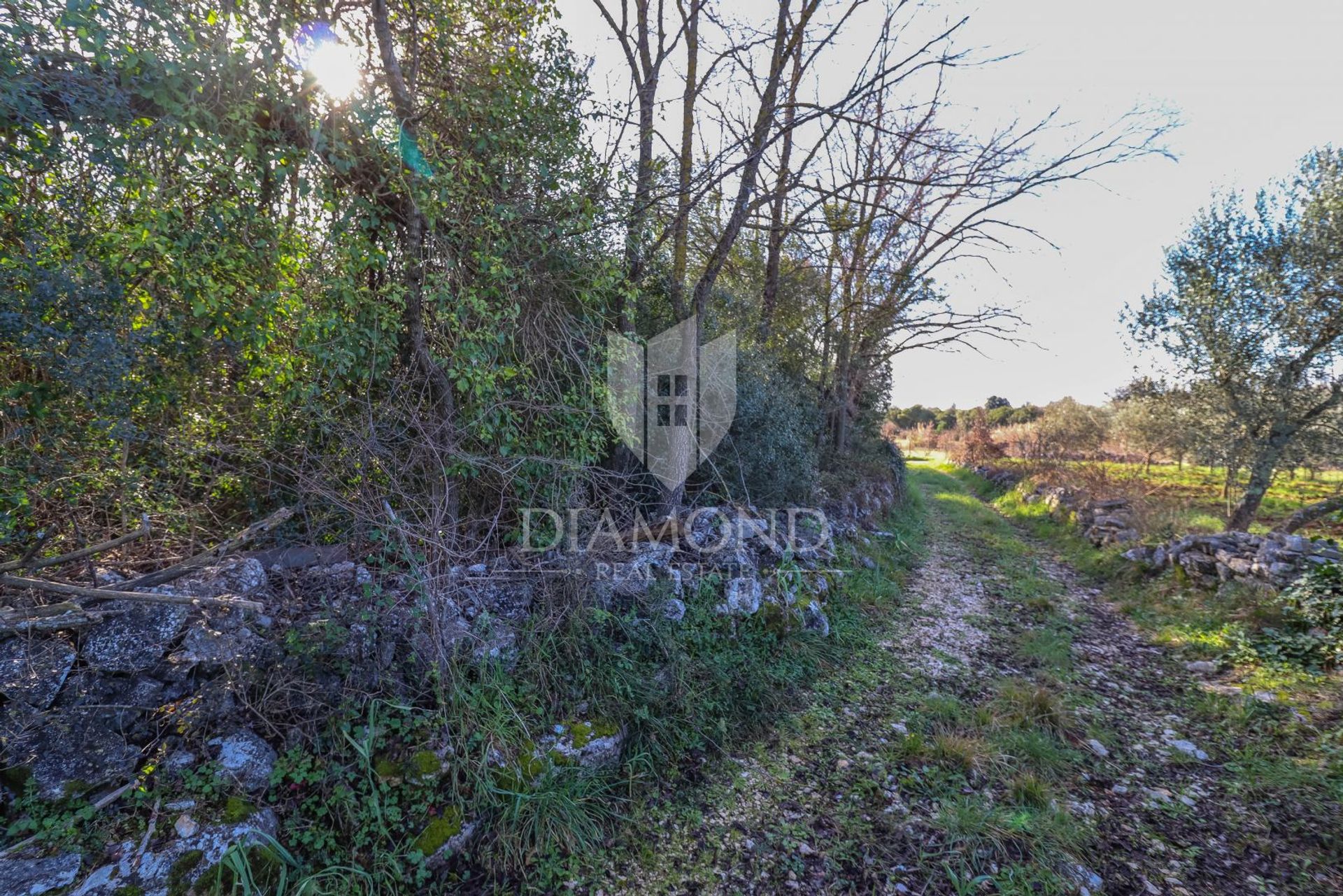 Land in Rovinj, Istarska Zupanija 11600769