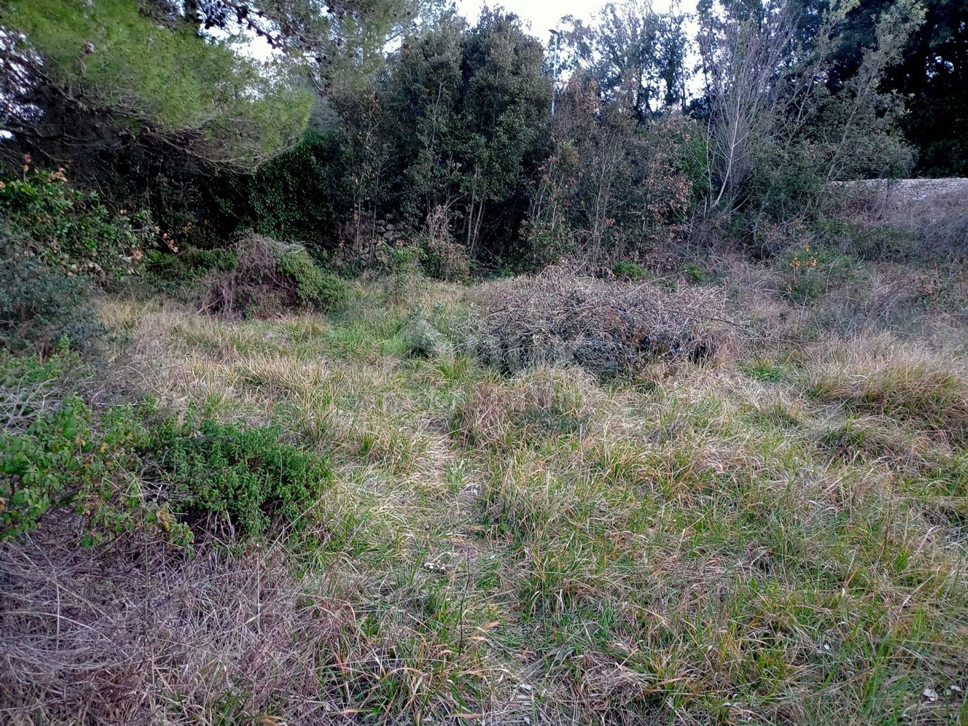 Land in Kukljica, Zadarska Zupanija 11603389