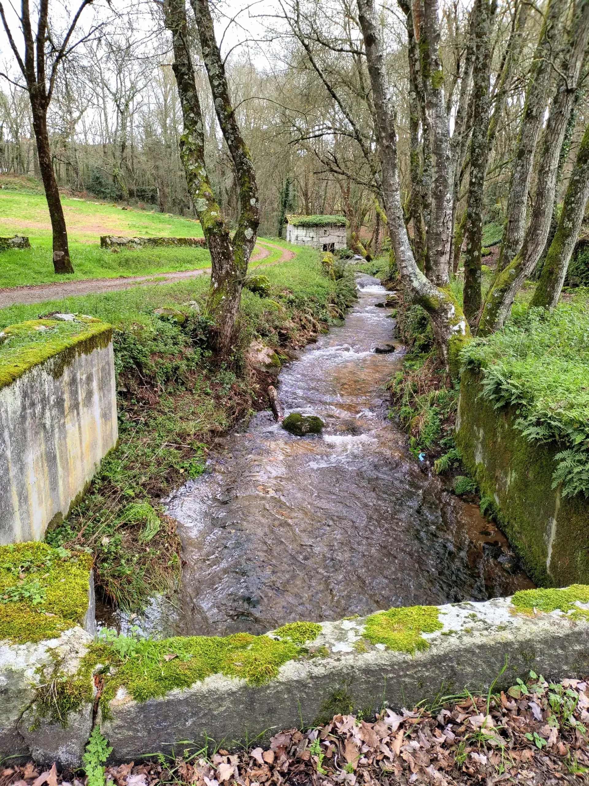 Hus i O Pereiro de Aguiar, Galicia 11603542