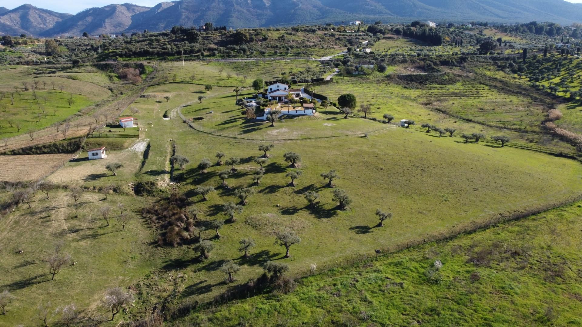 Haus im Alhaurín el Grande, Andalucía 11607508