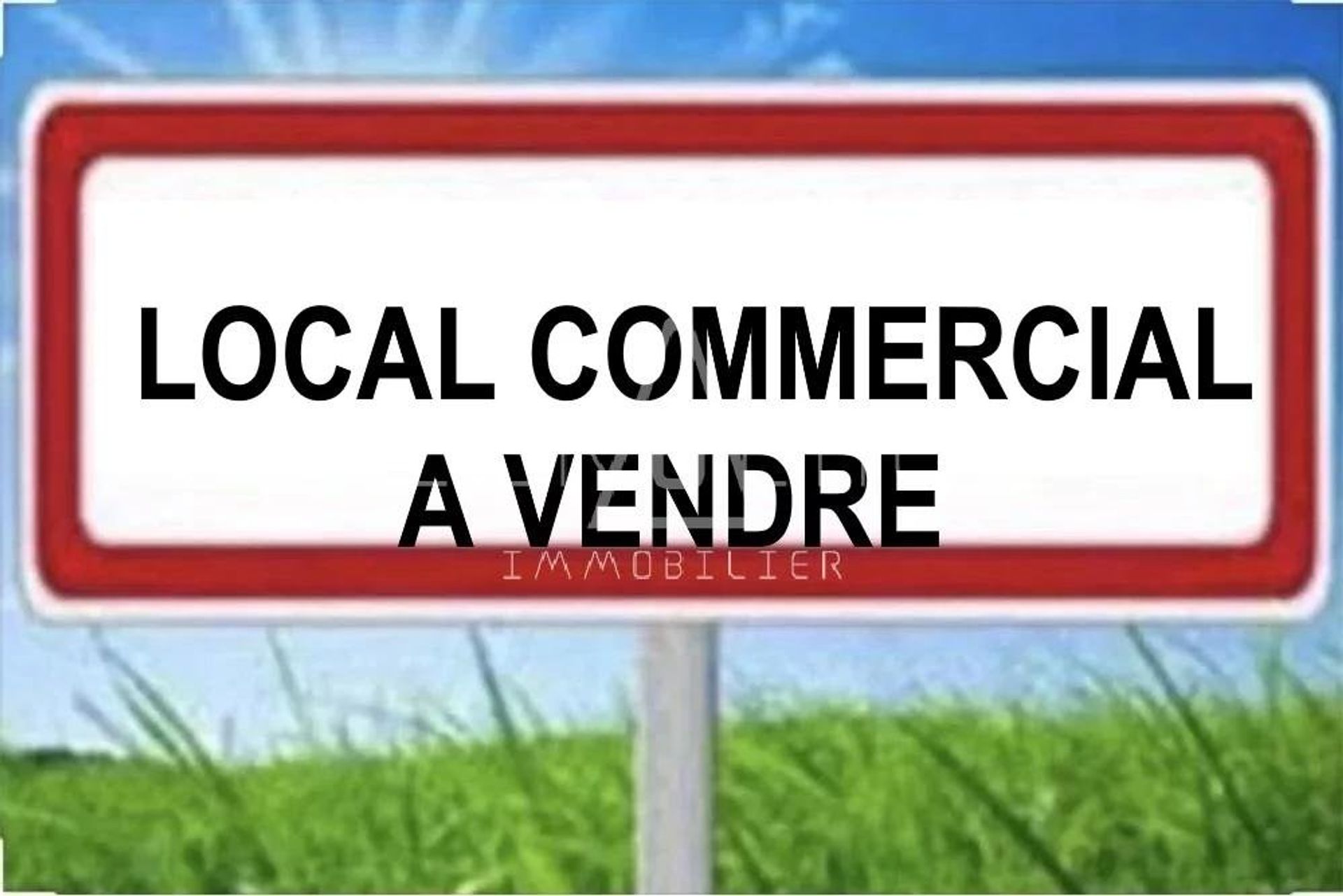 Commerciale nel Argelès-sur-Mer, Pyrénées-Orientales 11608547