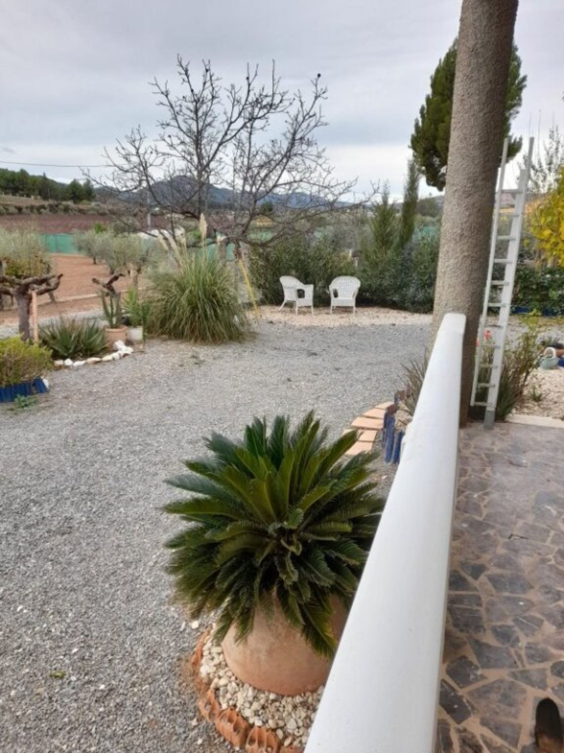 rumah dalam Cehegín, Región de Murcia 11611020