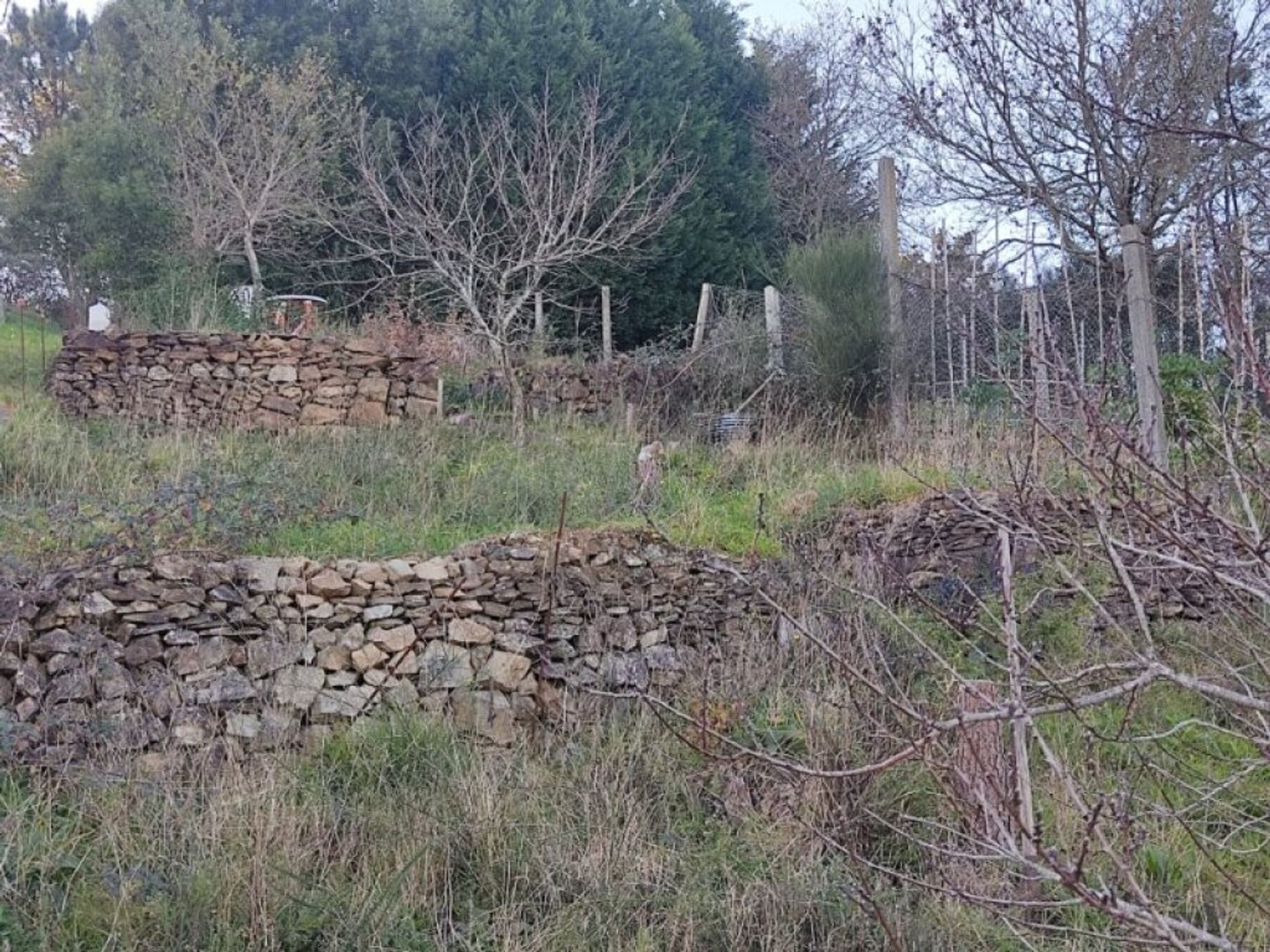 الأرض في Boiro, Galicia 11611026