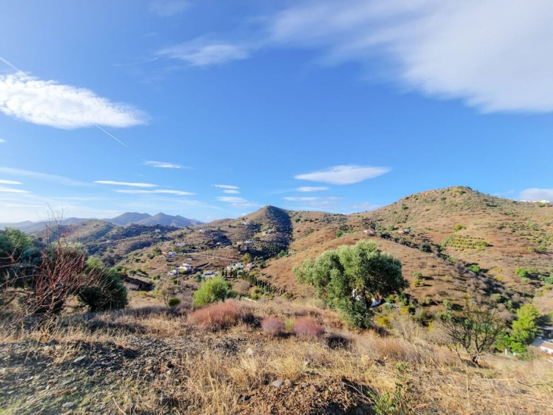 Hus i Almogia, Andalusia 11611049