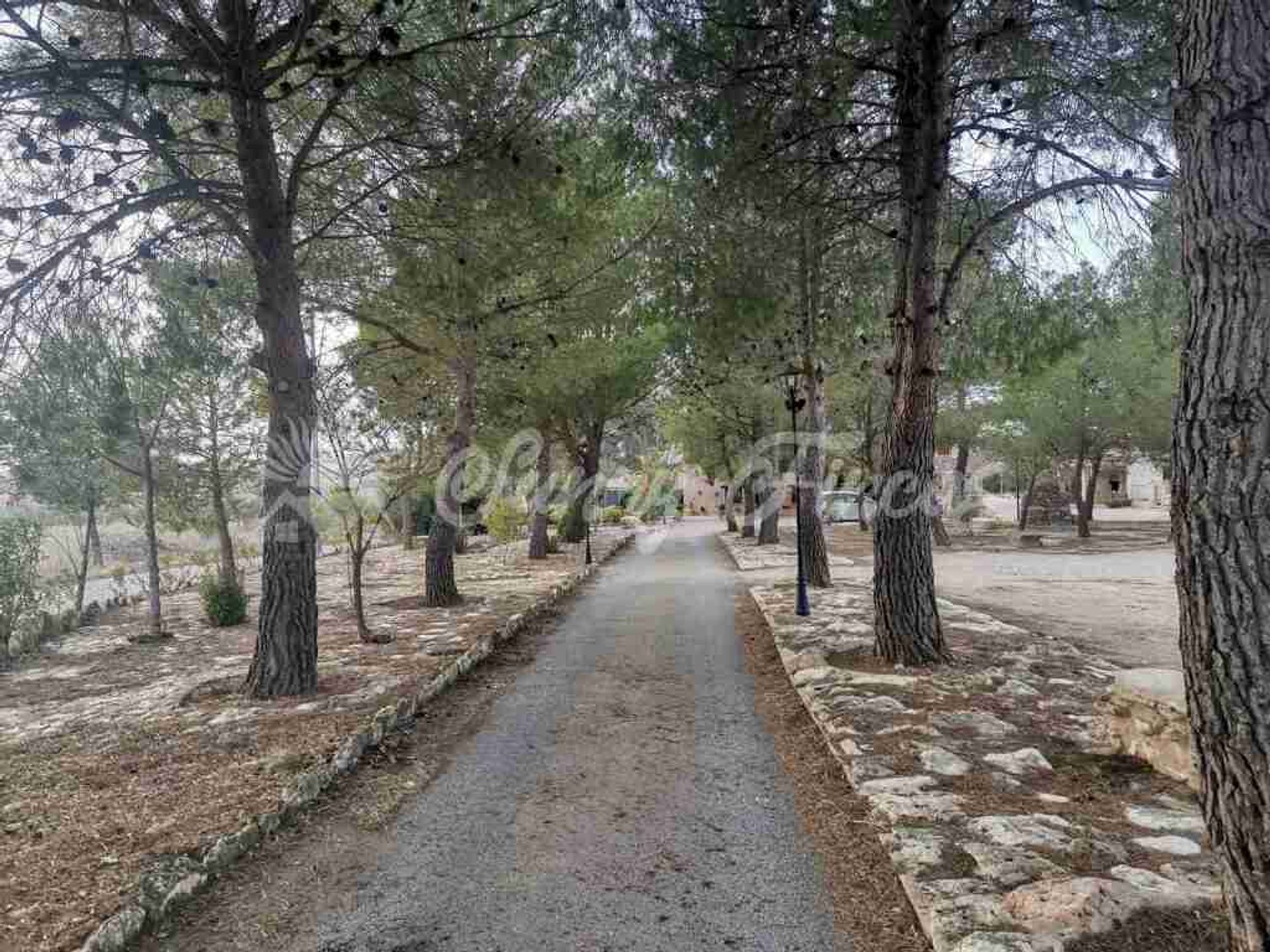 loger dans Yecla, Región de Murcia 11611063