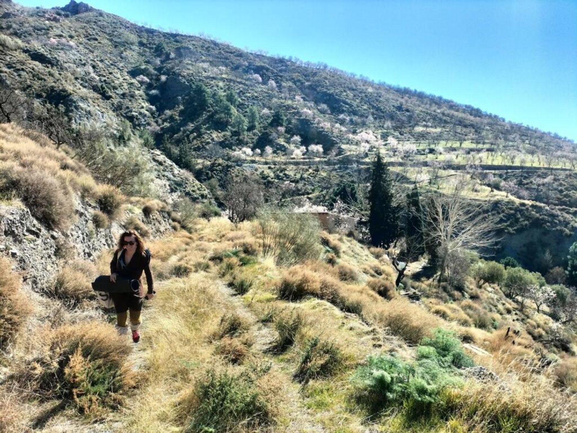 Hus i Lecrín, Andalucía 11611132