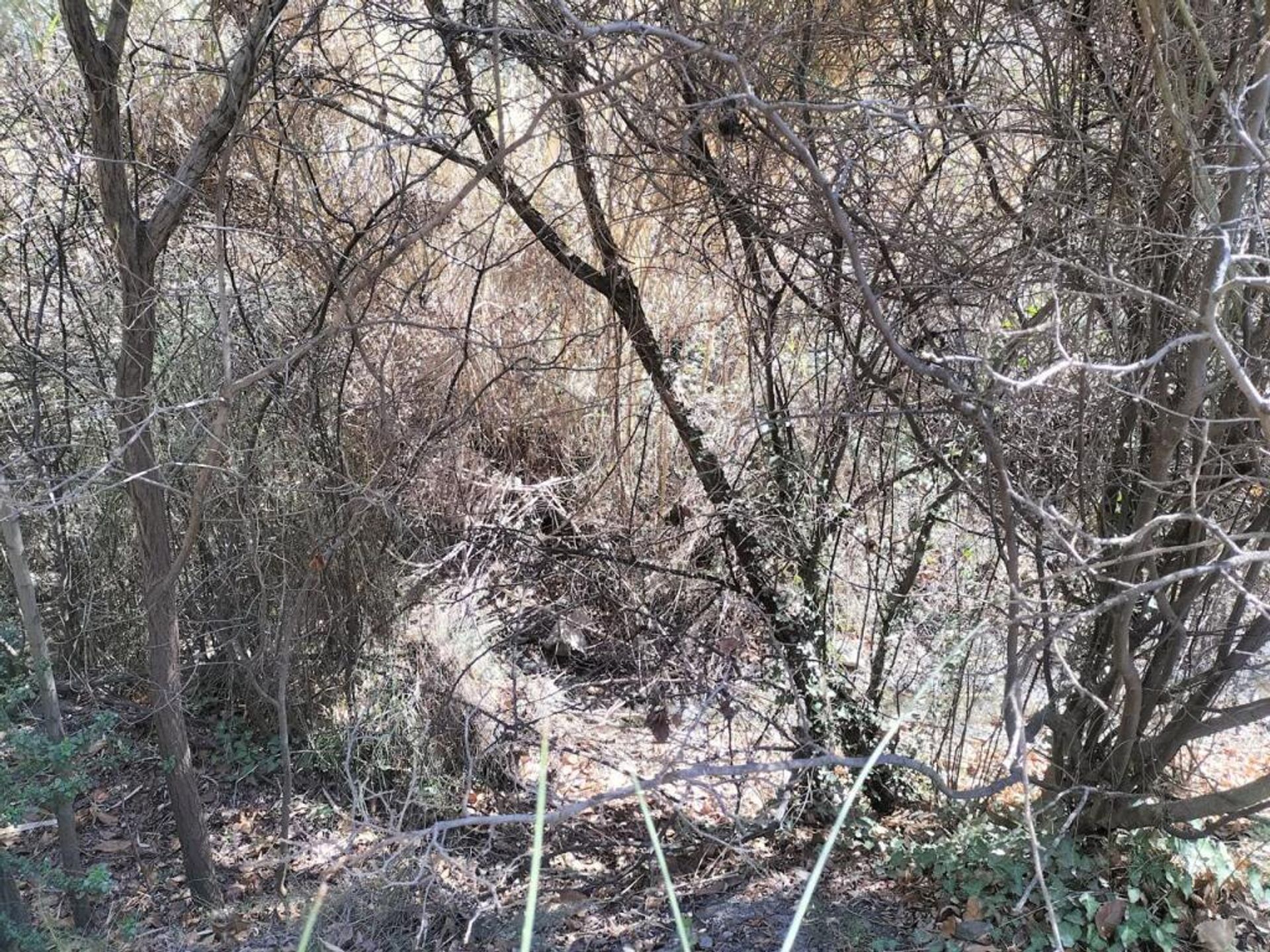 loger dans Lecrín, Andalucía 11611132