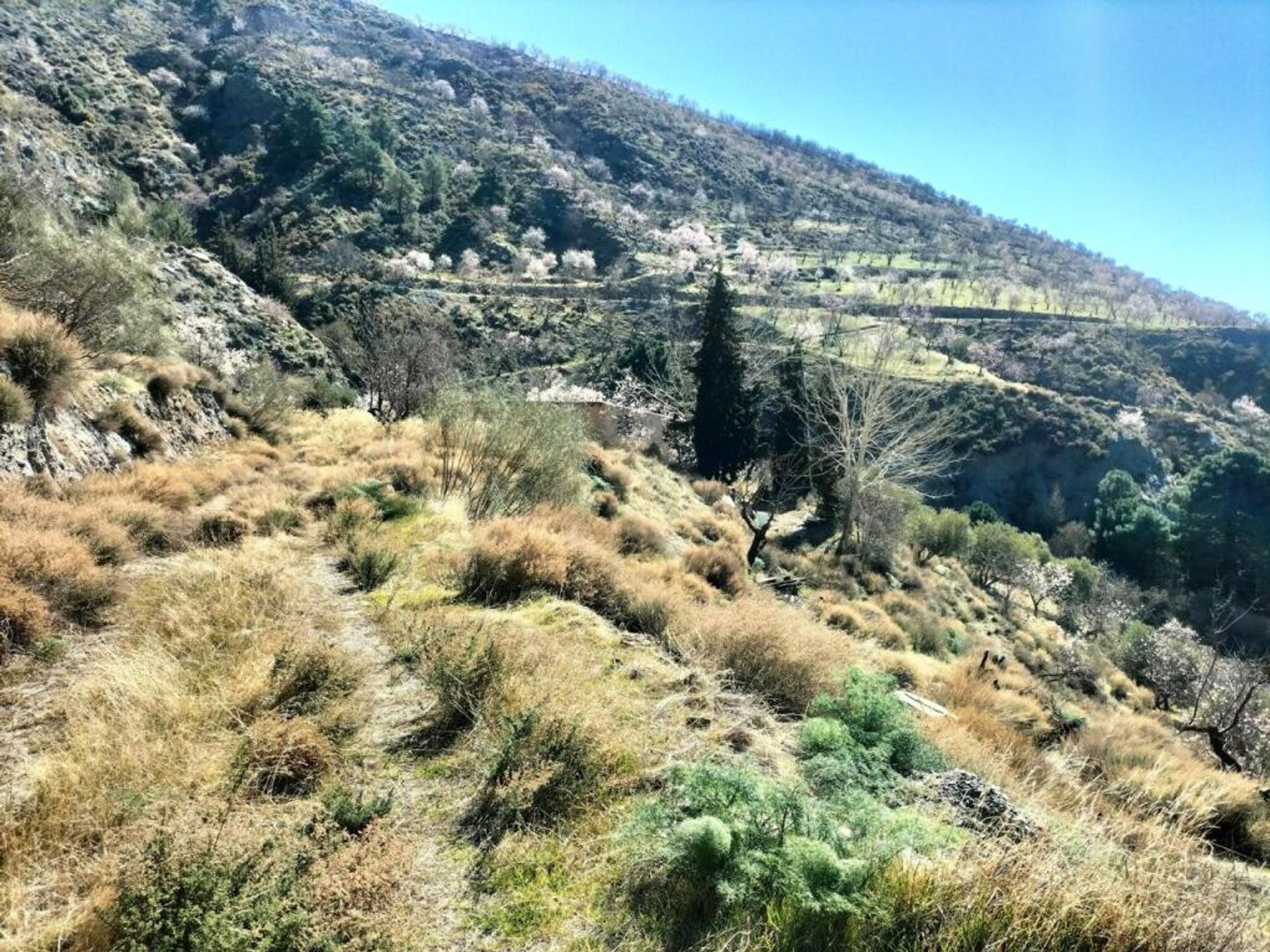 Huis in Lecrín, Andalucía 11611132