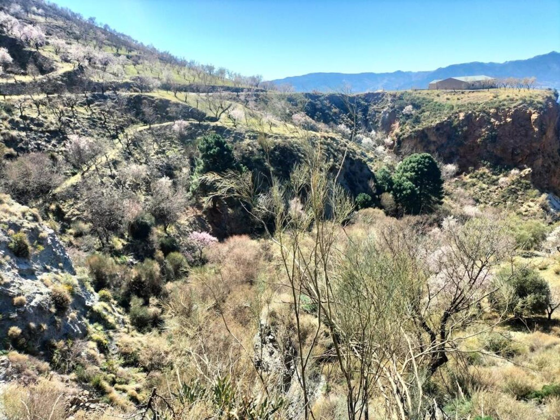 loger dans Lecrín, Andalucía 11611132