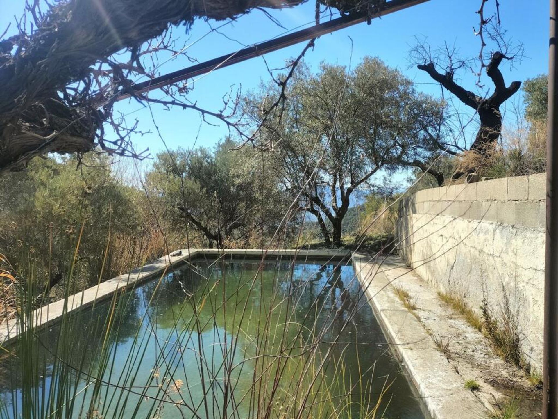 Huis in Niguelas, Andalusië 11611132