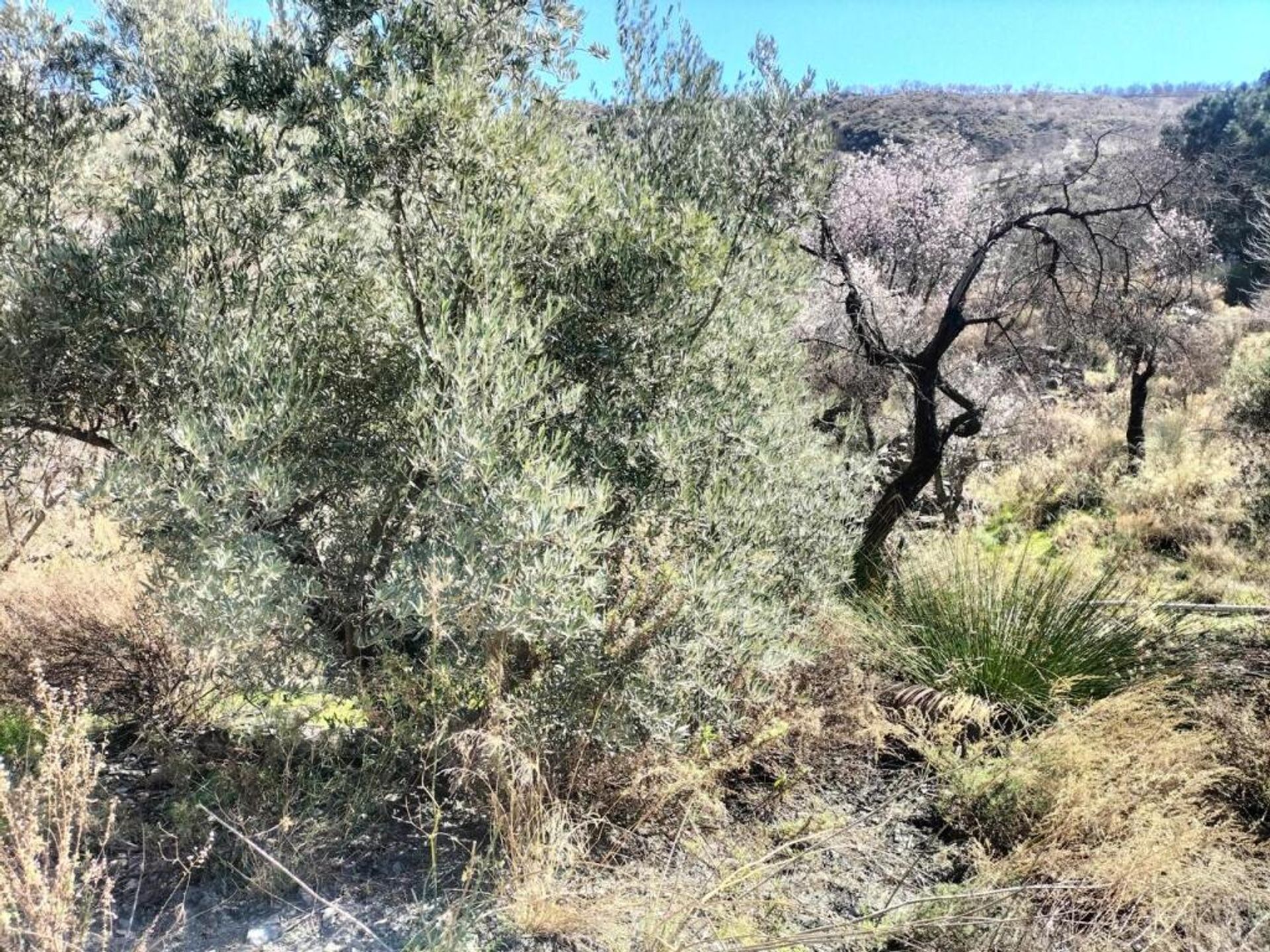 loger dans Lecrín, Andalucía 11611132