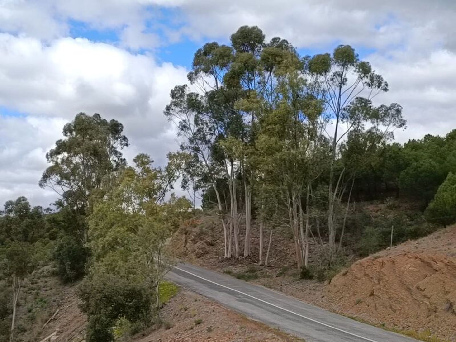 Tierra en azinhal, Faraón 11611451