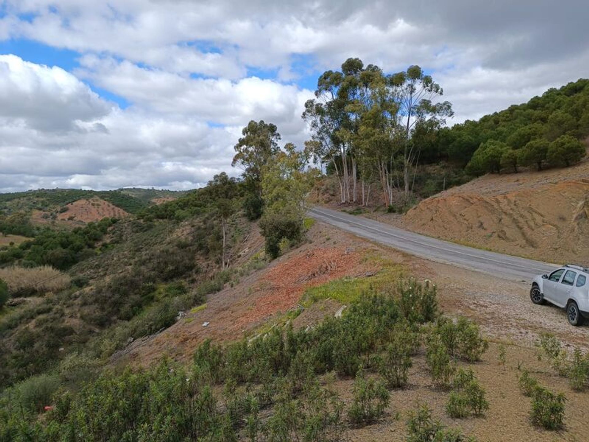 Tierra en azinhal, Faraón 11611451