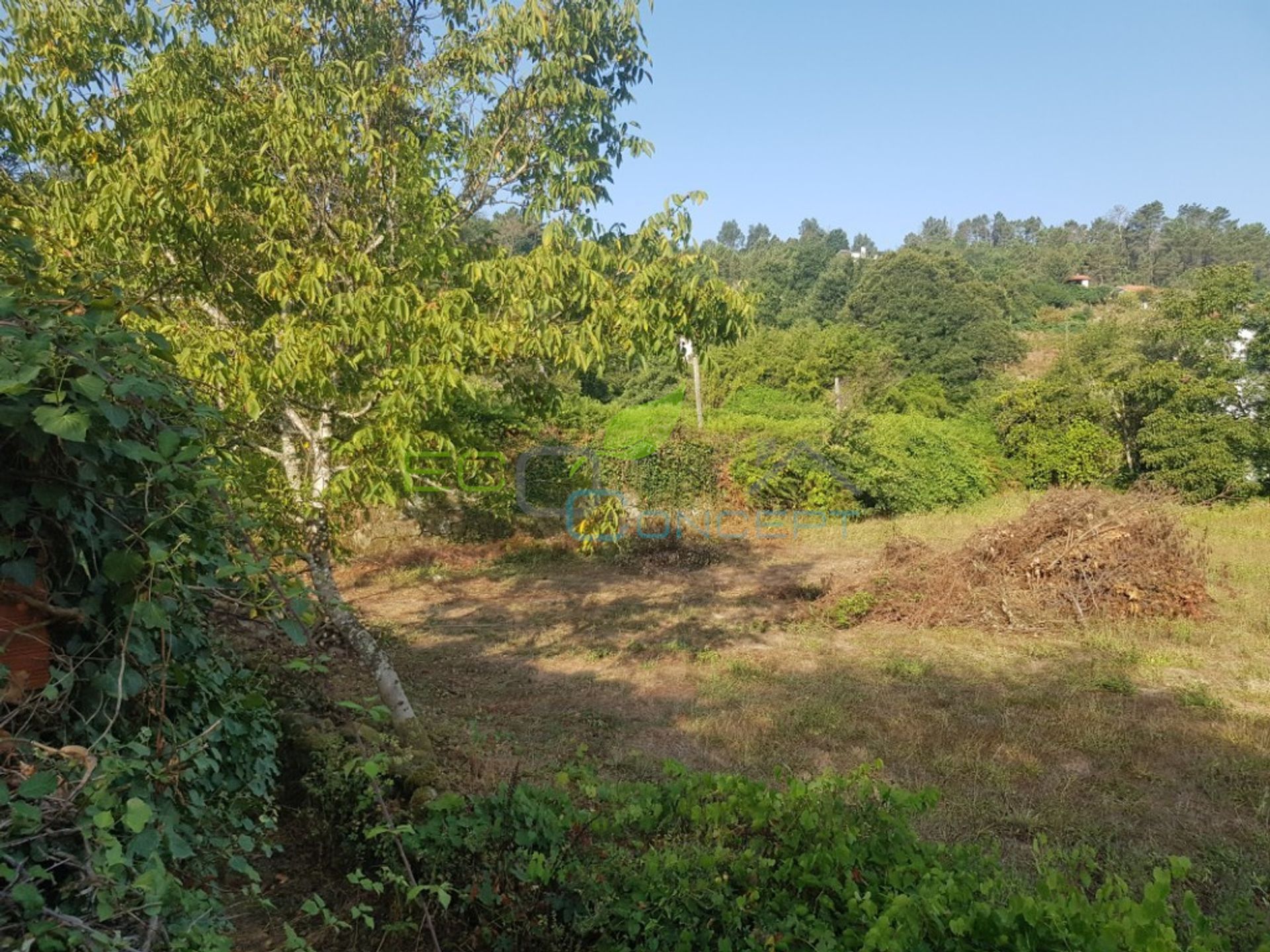 casa no São Pedro do Sul, Viseu 11612621