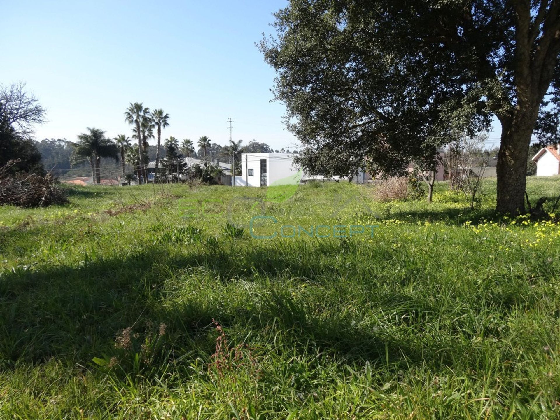 Land in Anta, Aveiro 11612636