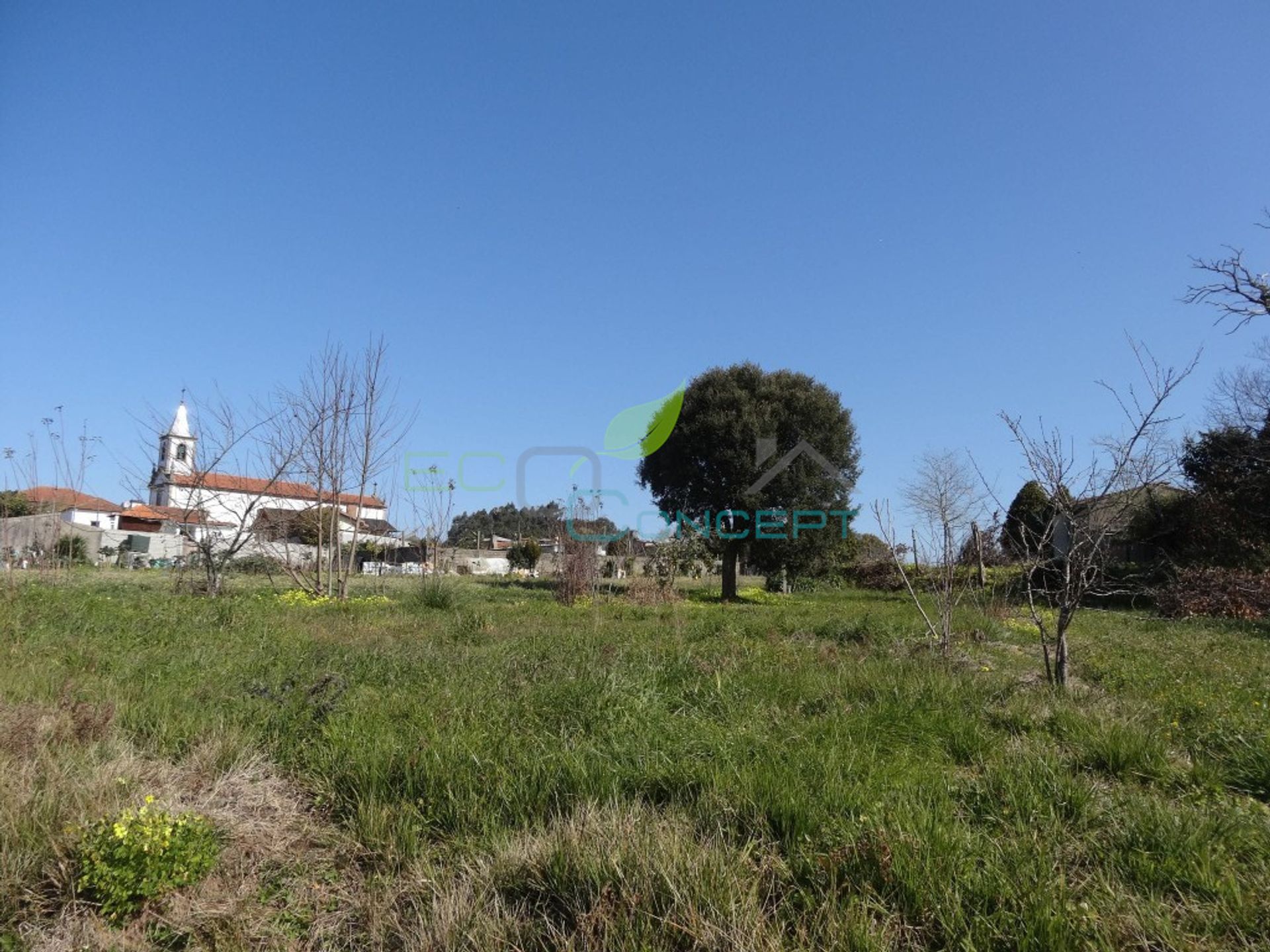 Land in Anta, Aveiro 11612636