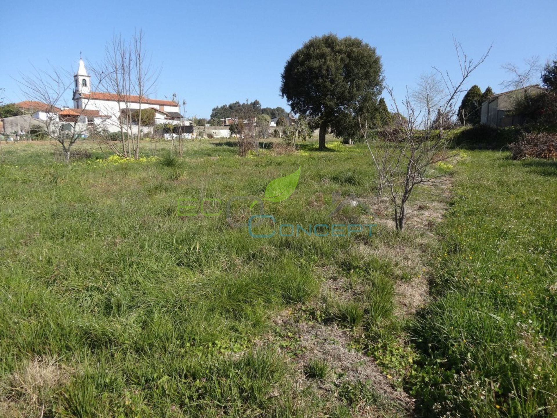 Terra no Espinho, Aveiro 11612636