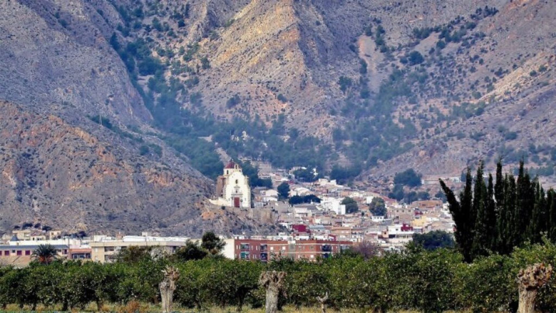 Квартира в Callosa de Segura, Comunidad Valenciana 11613451